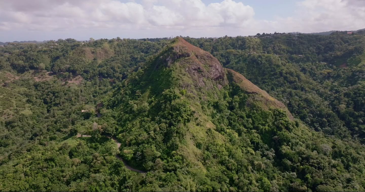 Cerro la Torrecilla, Lares PR.