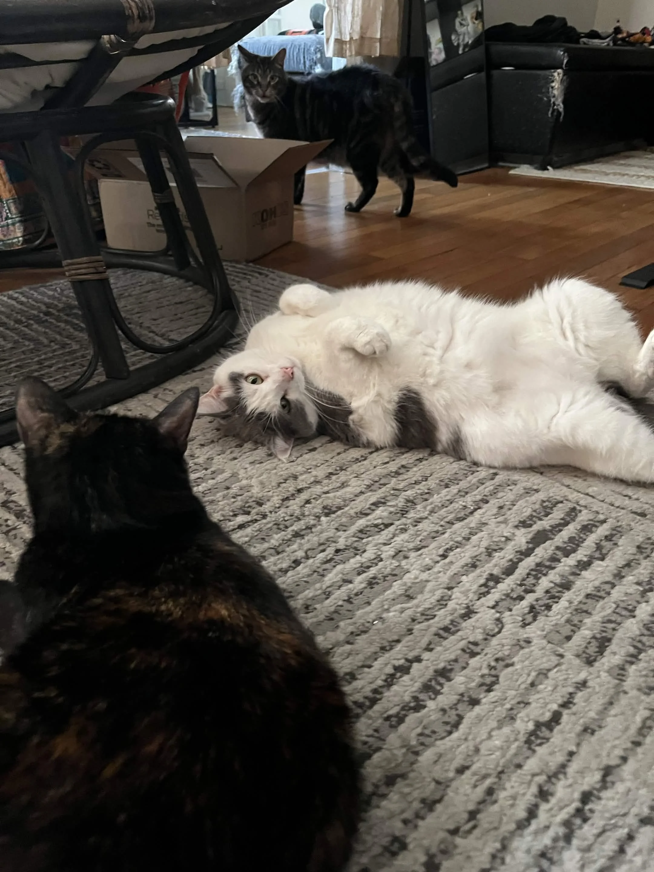 Sure, shes put on a few pounds since then.