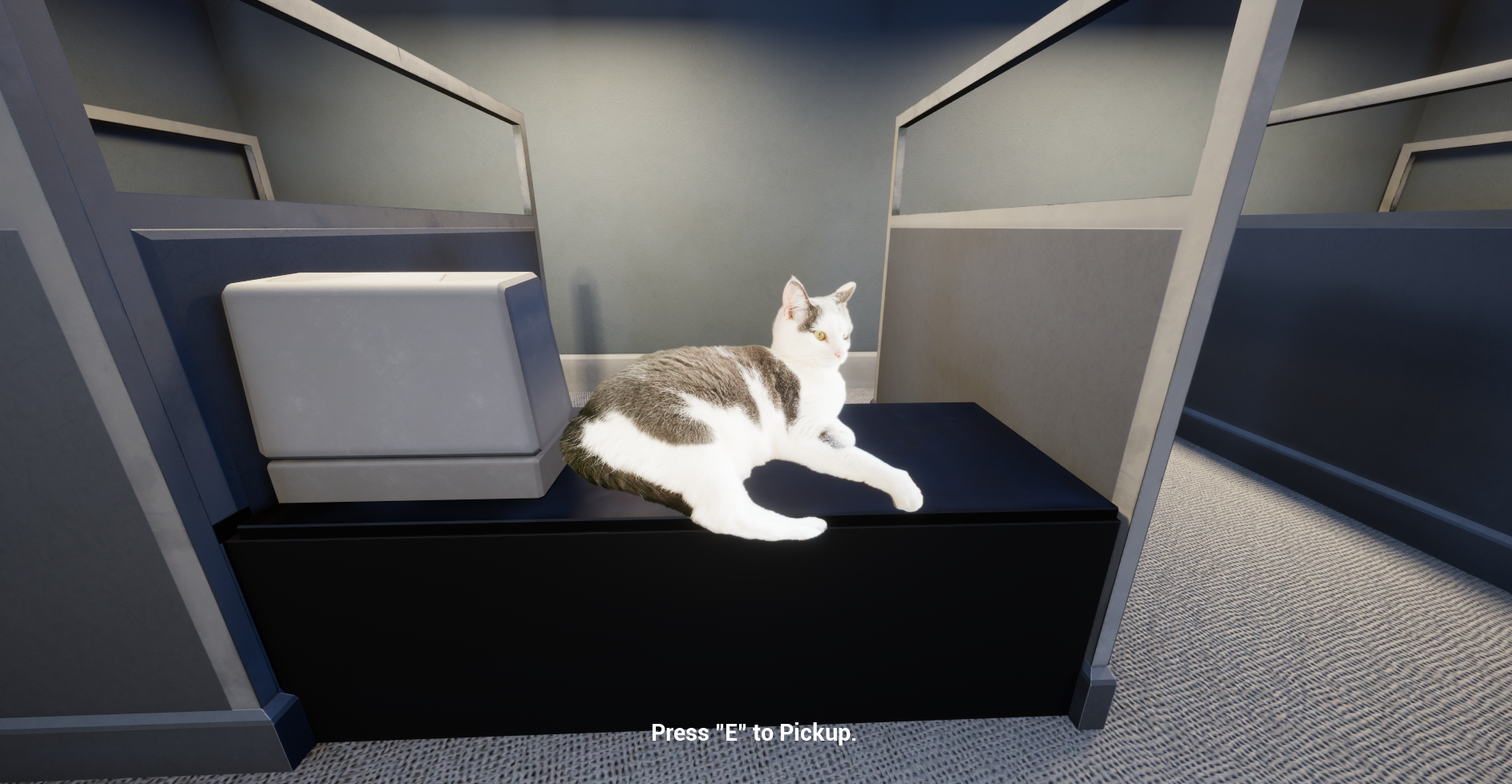 My princess Jimmy cat is in here just chillin, waiting to be saved.