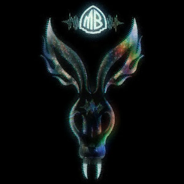 Mr. Bungle ‎– The Night They Came Home