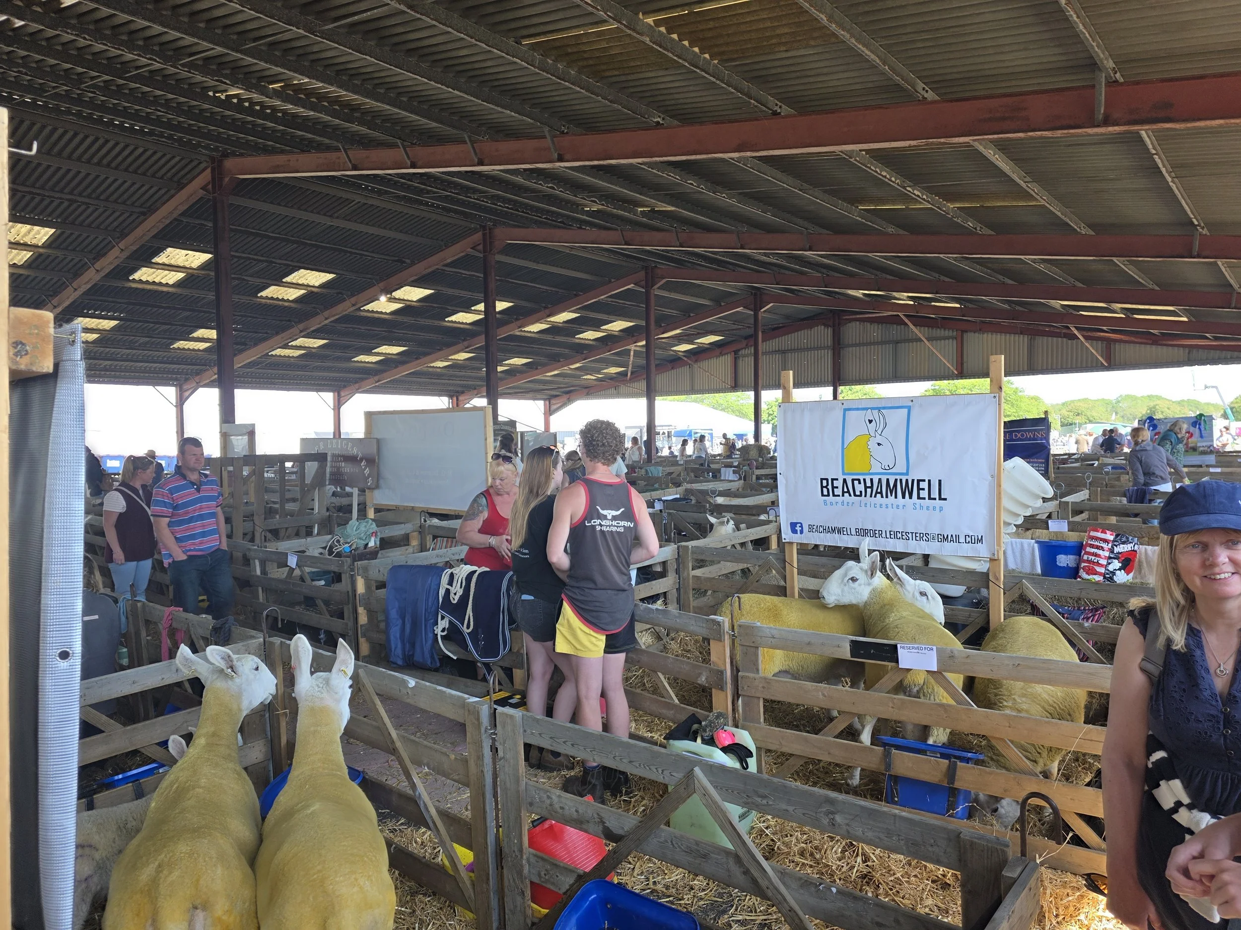 Another Lovely Suffolk Show