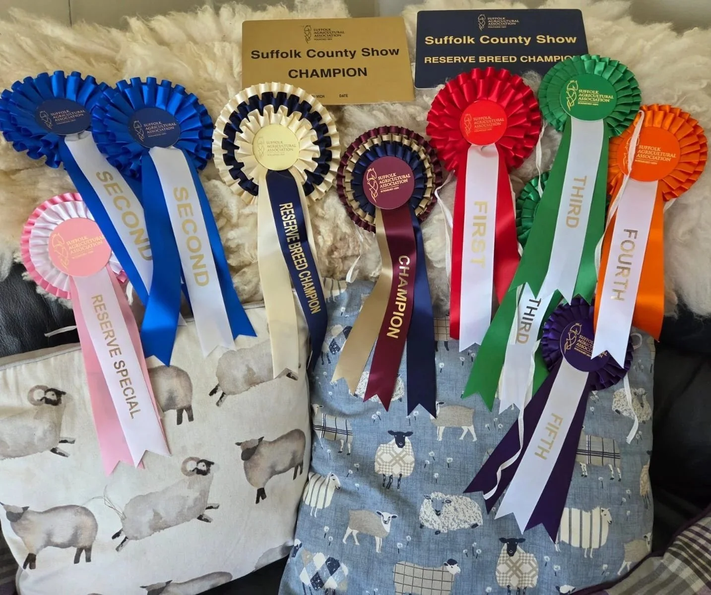 The Suffolk Show 2026 Acheivements