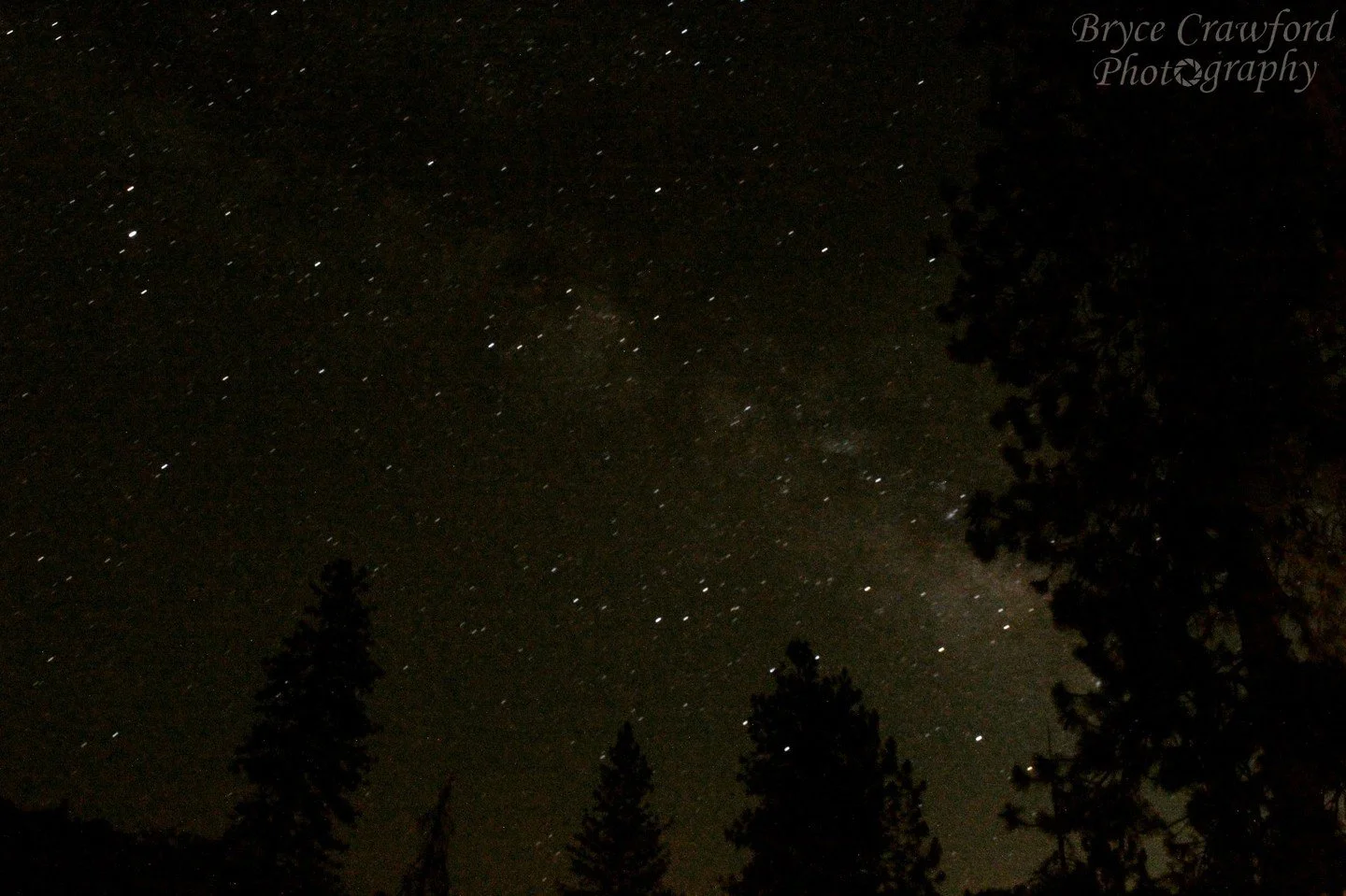 Starry Summer Nights...
.
.
.
It's amazing what you can see when you keep your lens open for a minute. Taken in the High Sierras without any light pollution and half-framed by tall Sequoias, this image captured a bit of the Milky Way galaxy (center r