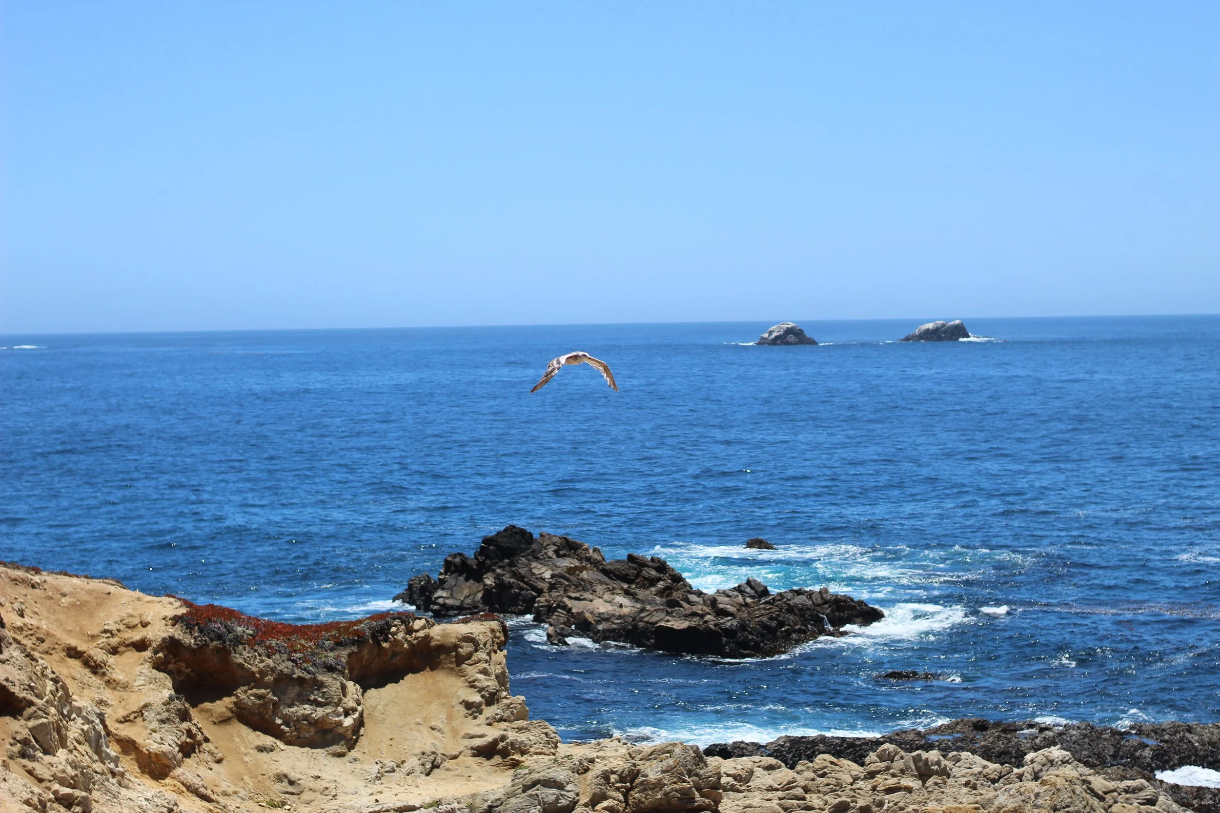 IMG_3399.JPG