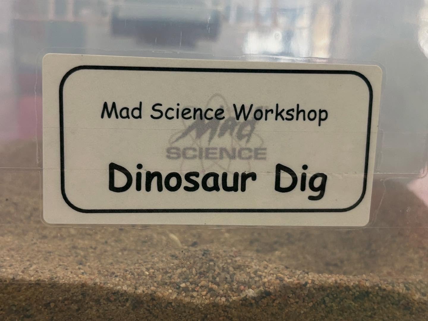 🦕✨ A ROARING Good Time in Preschool! ✨🦖 We had a special visitor from Mad Science of Alberta &mdash; the amazing Microscope Mark! He taught us all about dinosaurs, their incredible sizes, and even showed us a variety of REAL fossils. 🪨
The childre