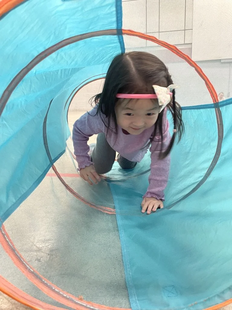 8558C192-278E-4D47-9174-05211F9449DE_1_105_c.jpeg