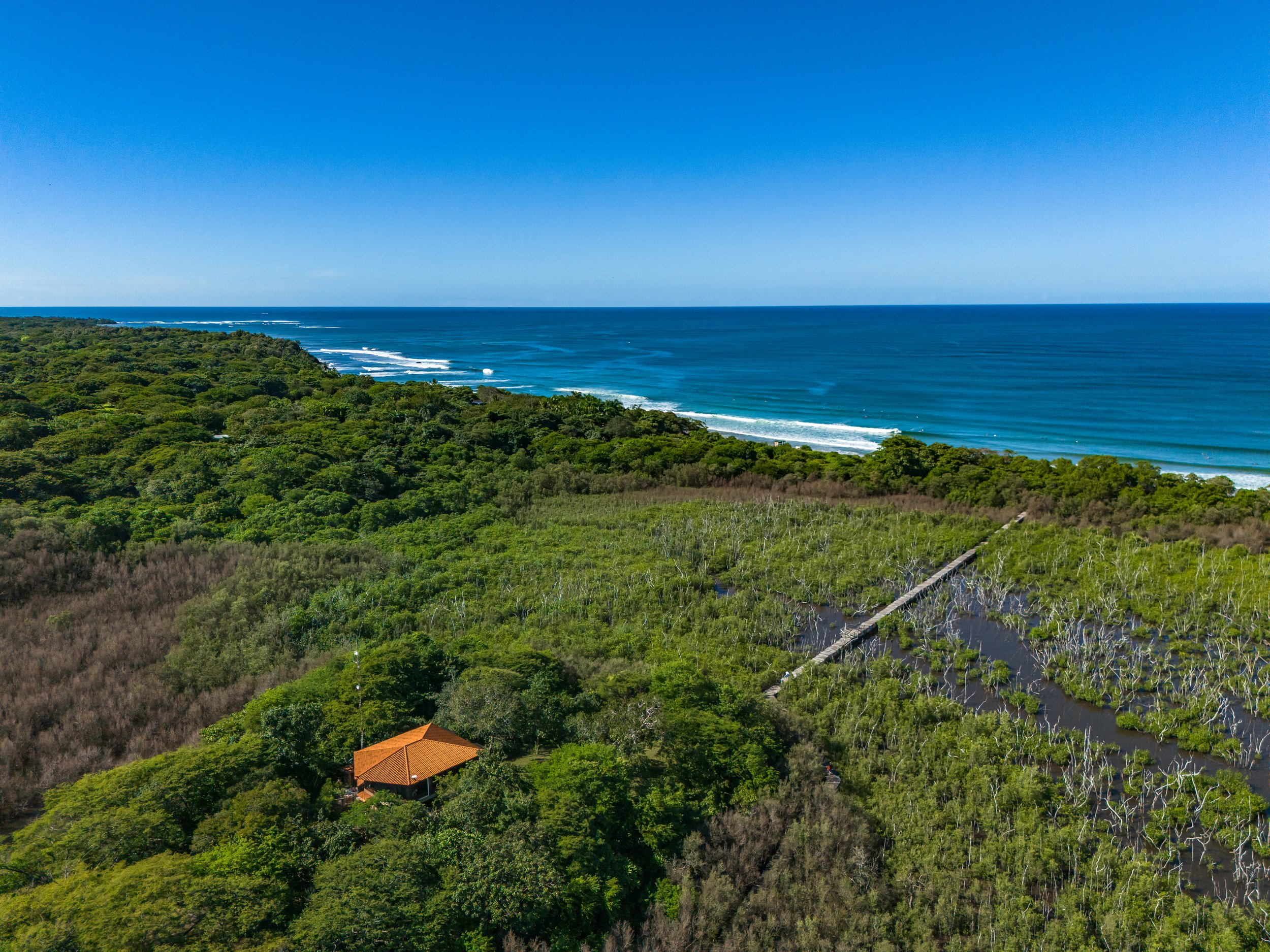 Playa Avellanas & Peer (large) 04.jpg
