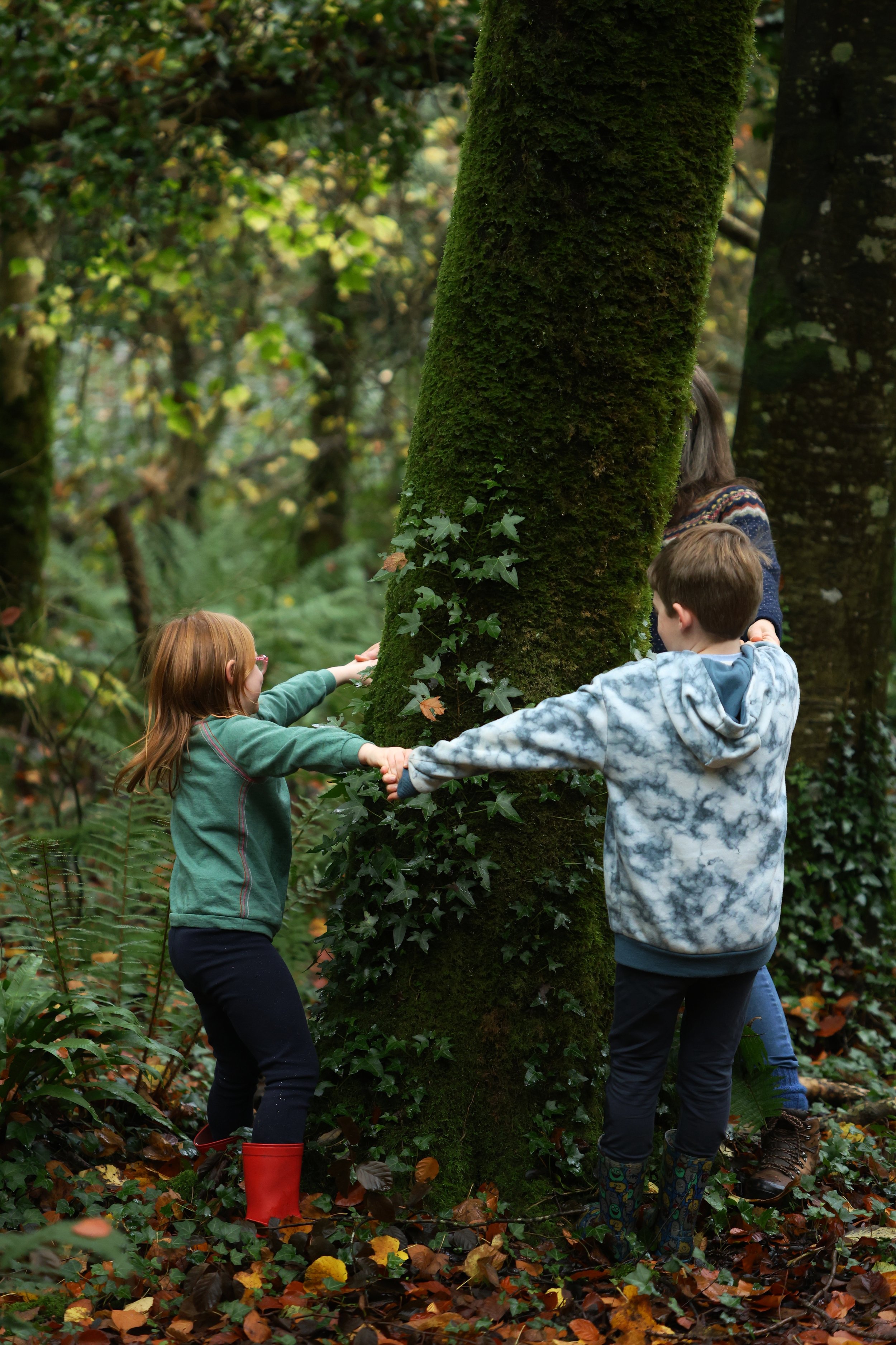 Sunday Squirrels Club 1st March Family up to 4 persons