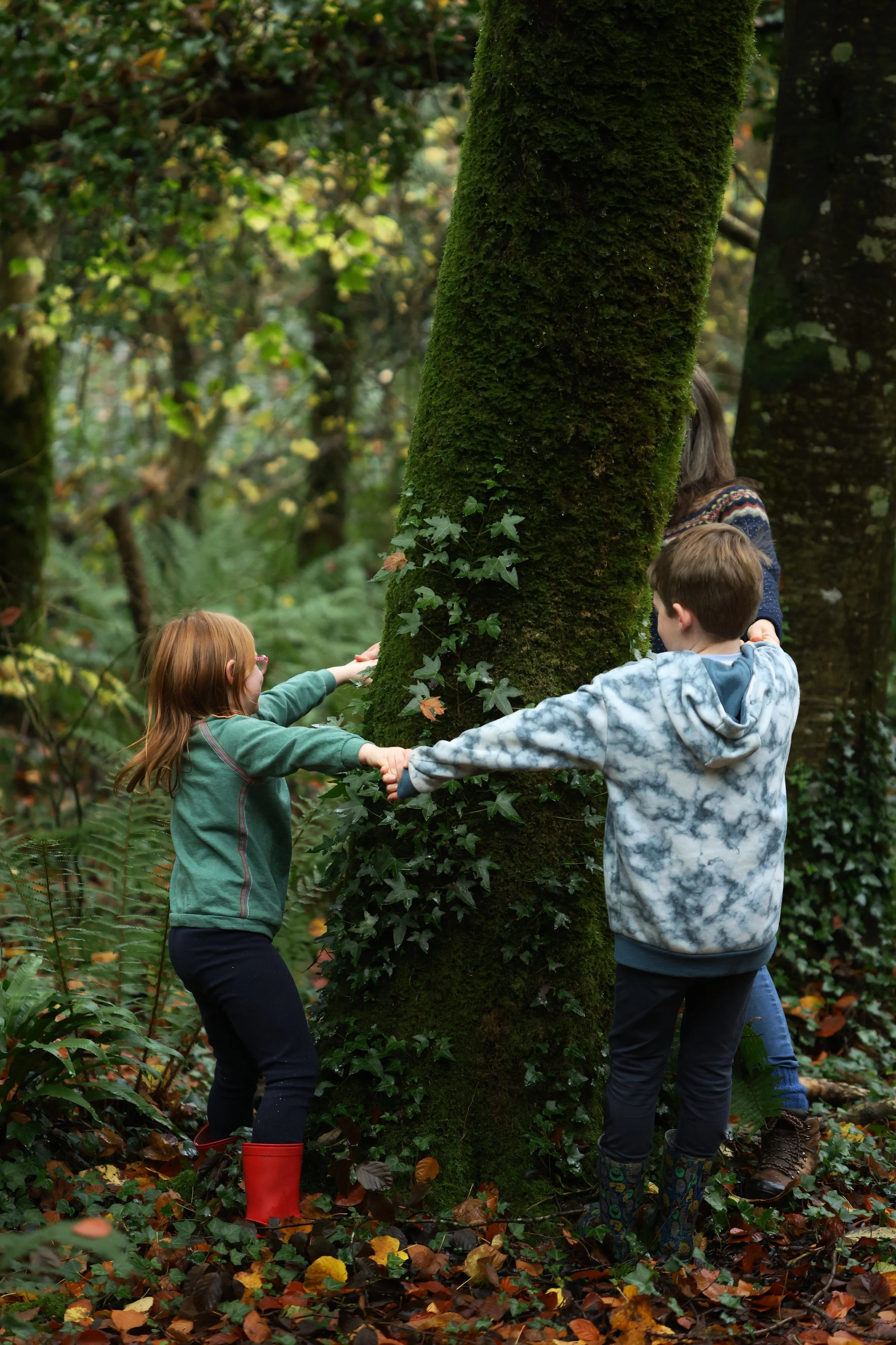 Family and Toddler Outdoor play sessions