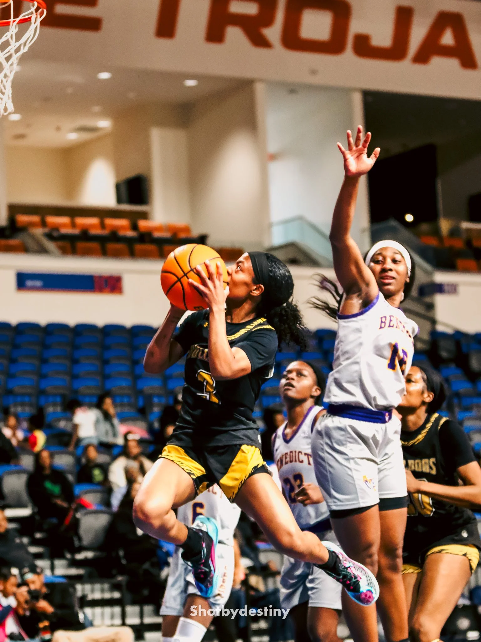 Session lII wbb BCIC final-9.jpg