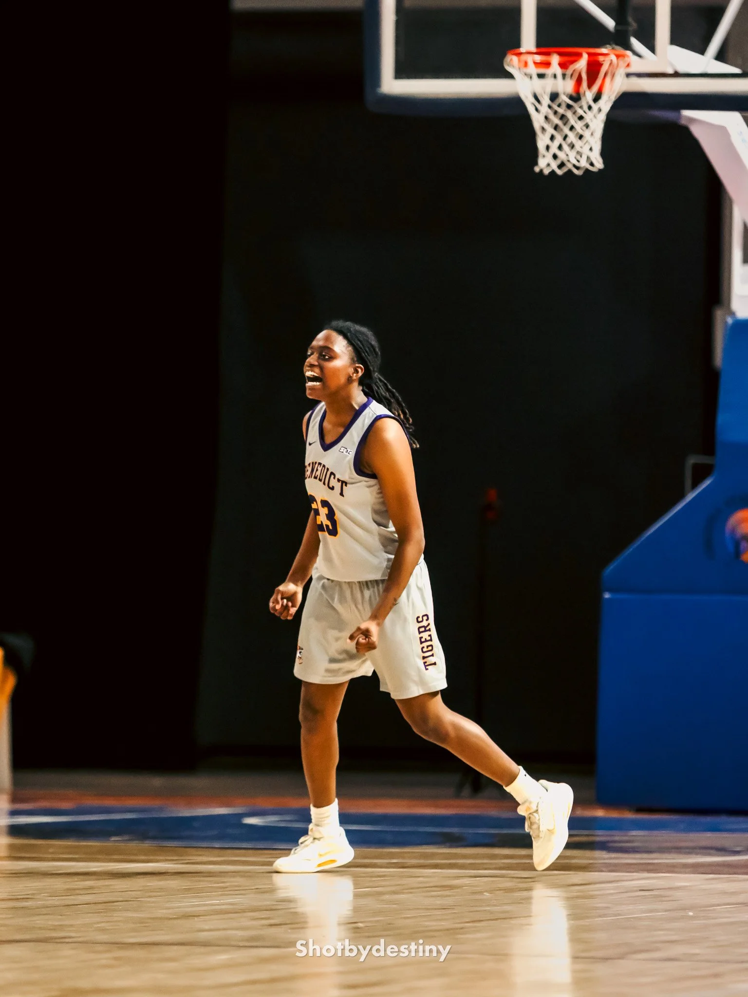 Session lII wbb BCIC final-13-2.jpg