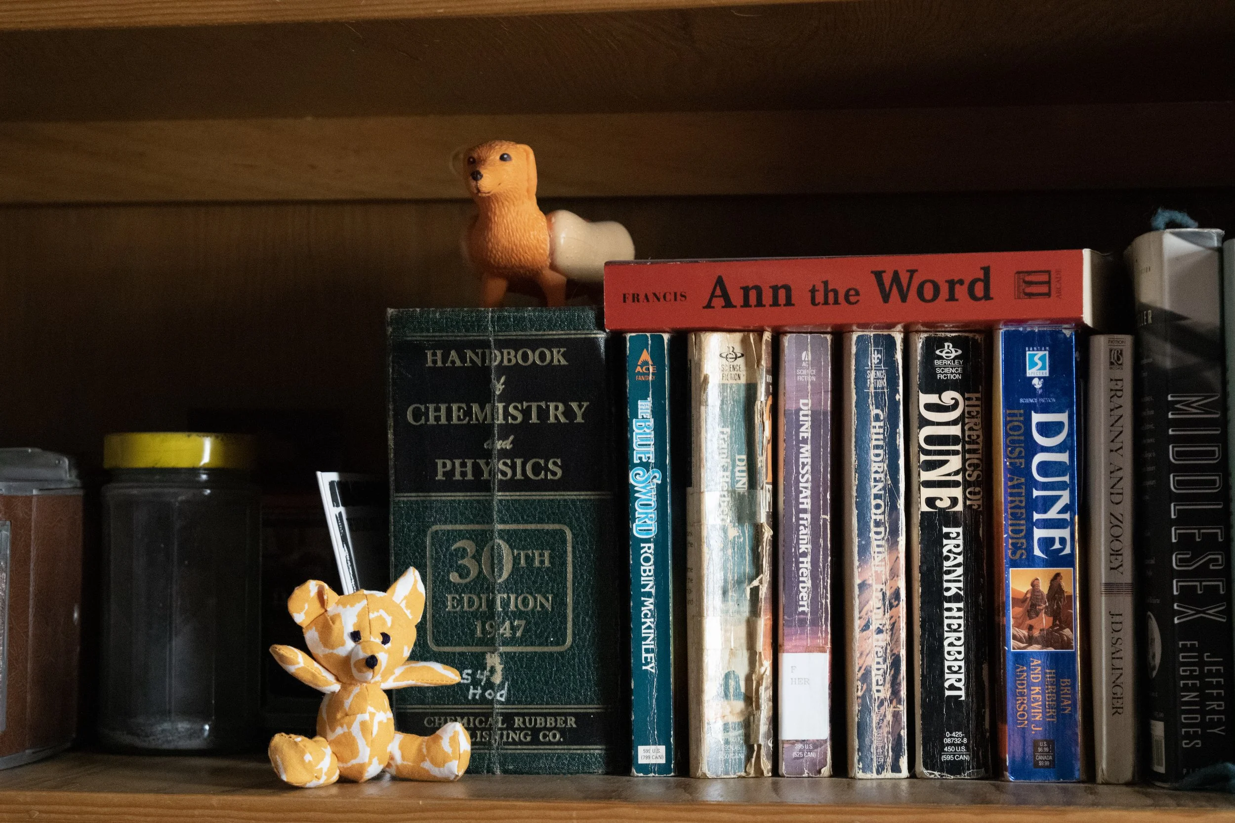 memory bear insta image 1.jpg