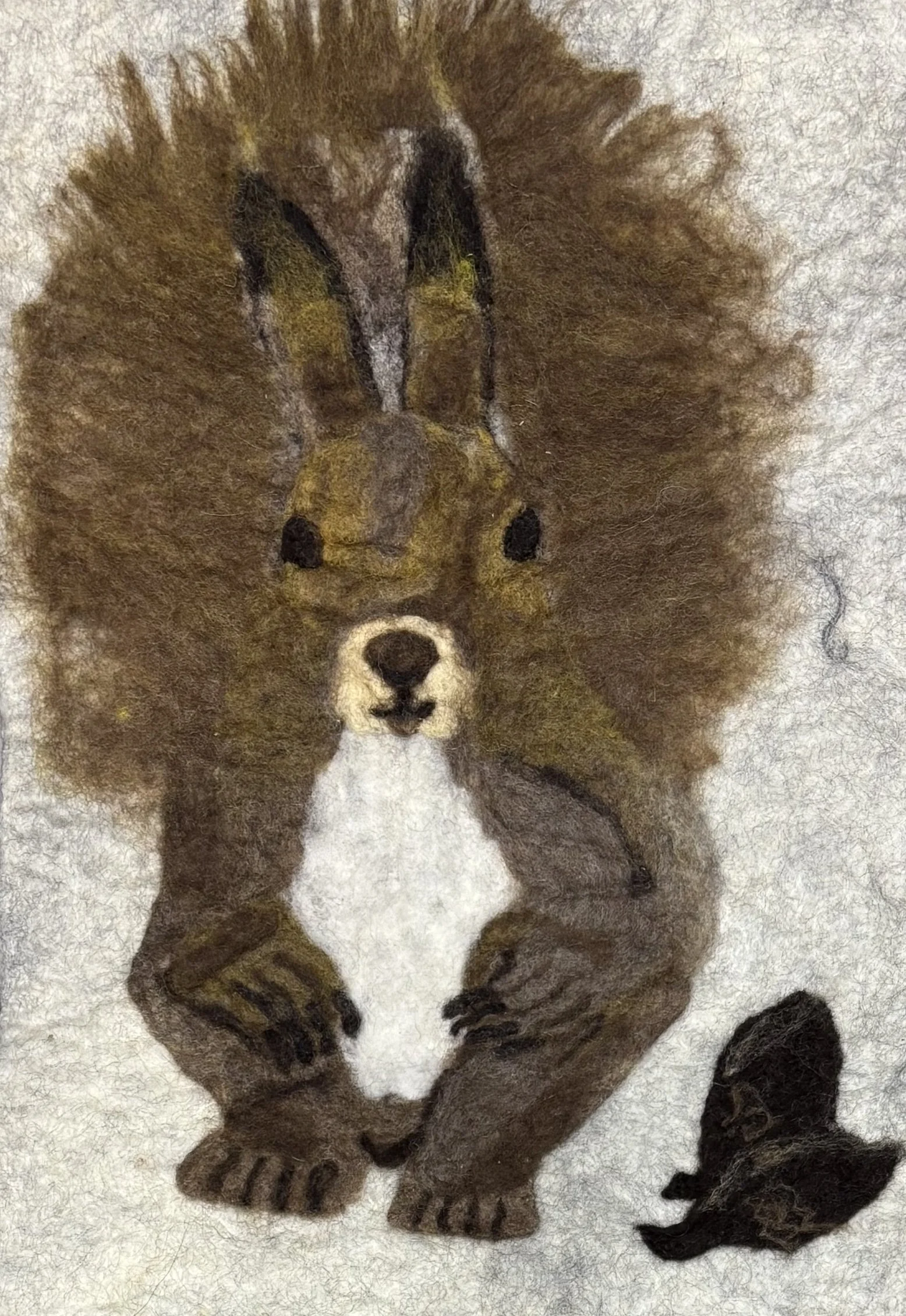 Orava.jpg