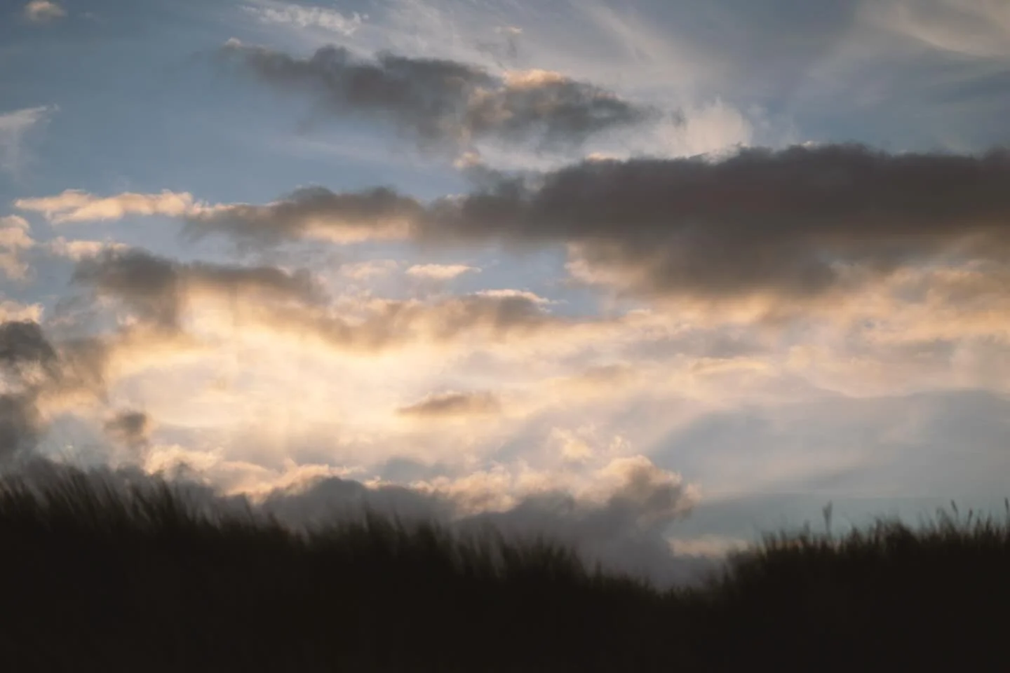 #bamburghcastlebeach #bamburgh #ilovebamburgh #northumberland #sandunes #beach #beachgrass #sunset #sunsetsky #eveninglight #travelphotography