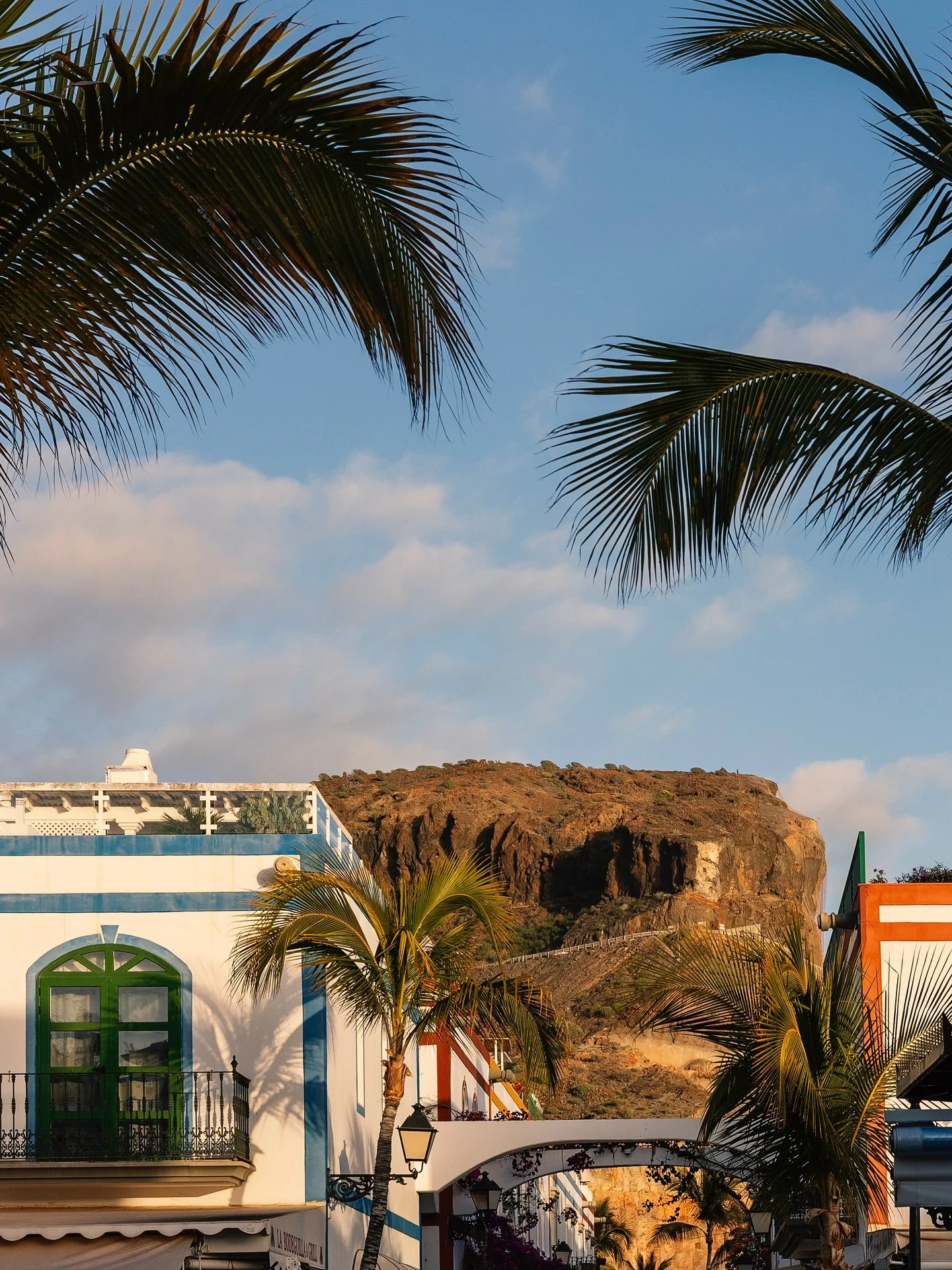 #colour #sunshine #flowers #colourfulbuildings #puertodemogan #puertodemog&aacute;n #grancanaria #visitgrancanaria #port #grancanaria❤️ #palmtrees
