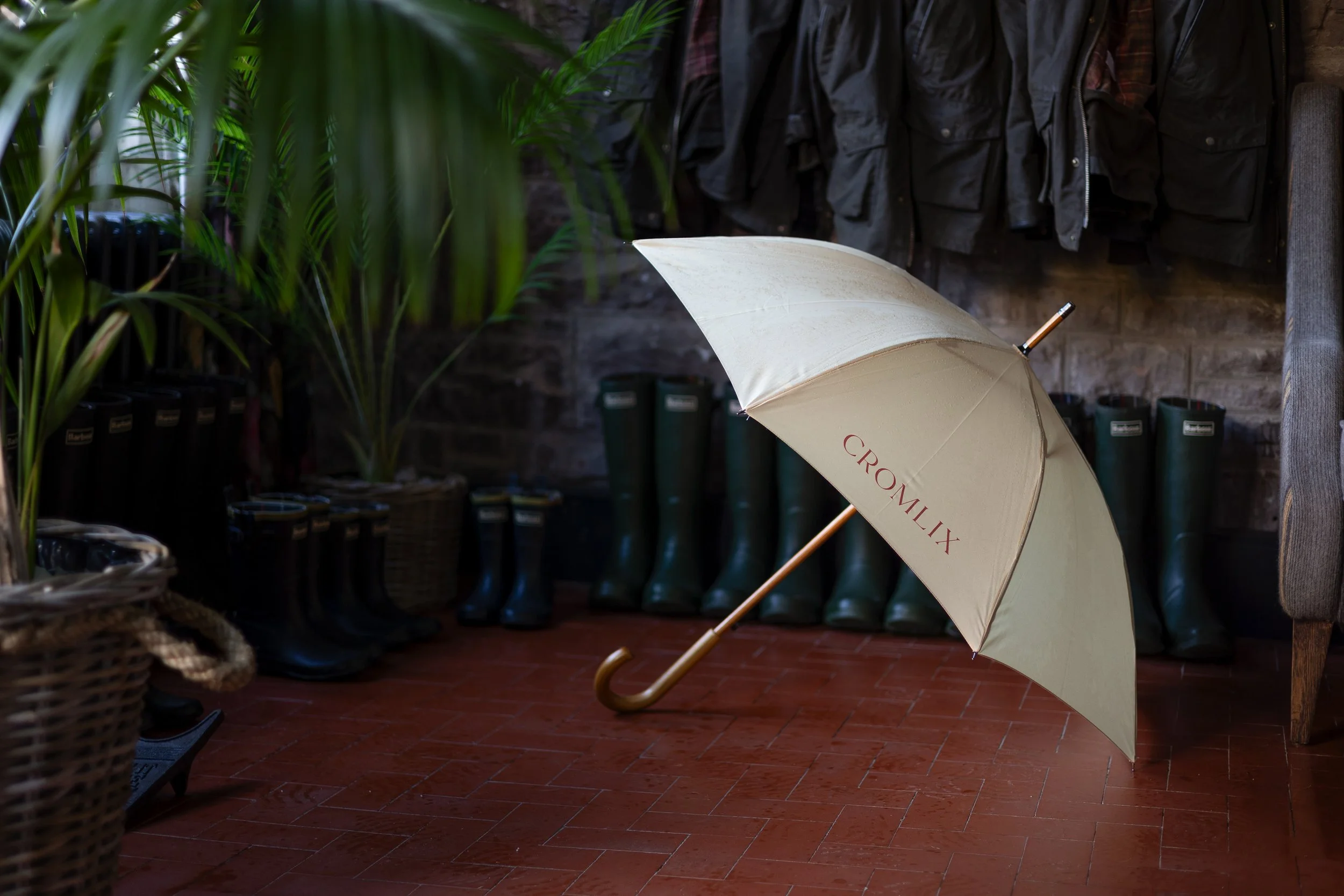 Umbrella Landscape.jpg