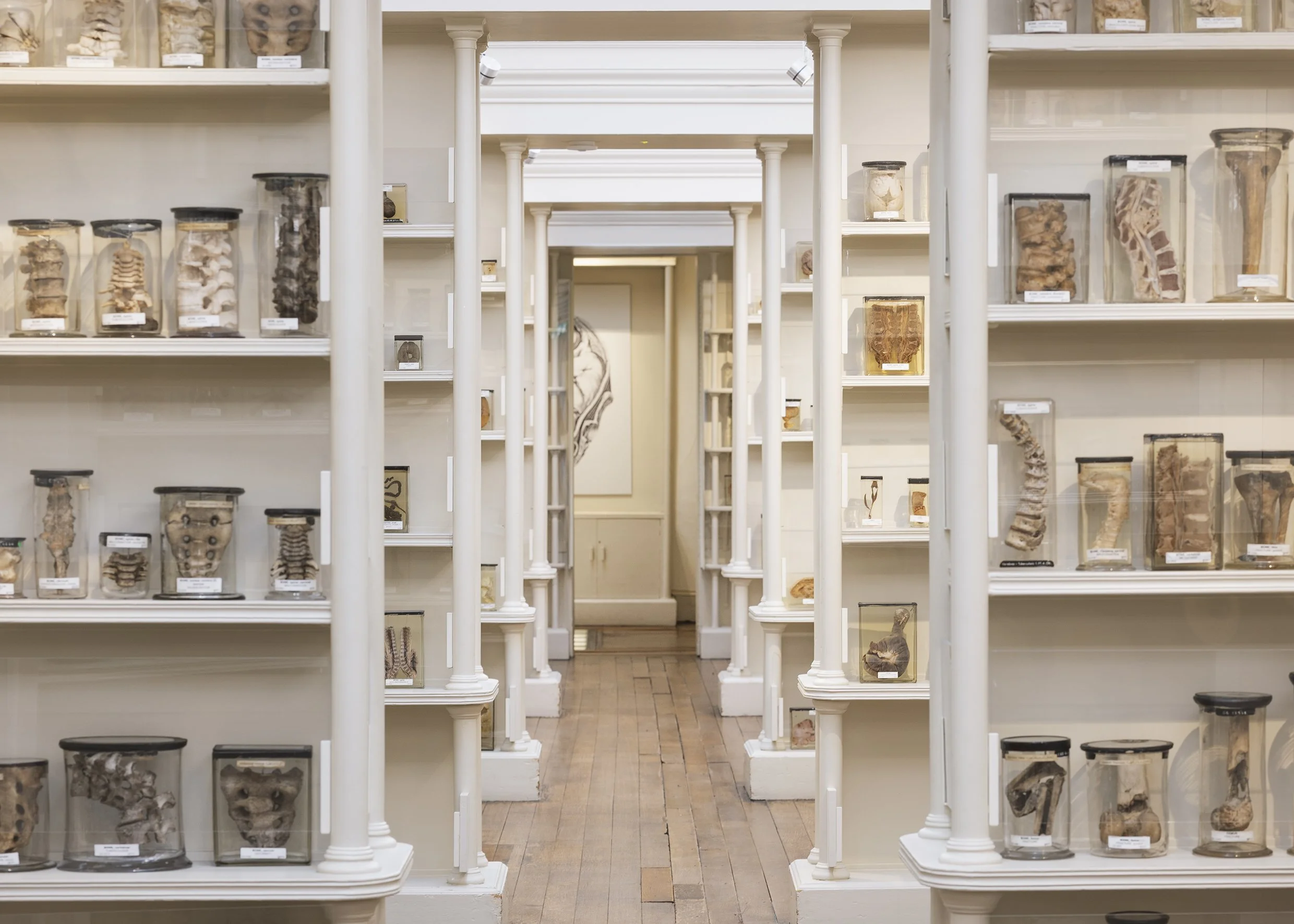 Surgeon's Hall 4.jpg