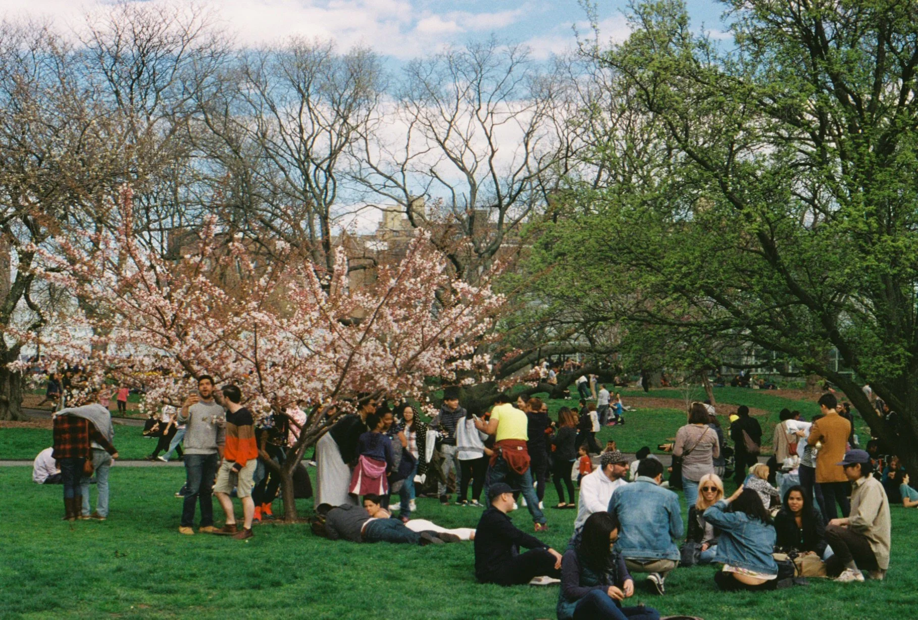 0002128_0002128-R1-068-32A.jpg