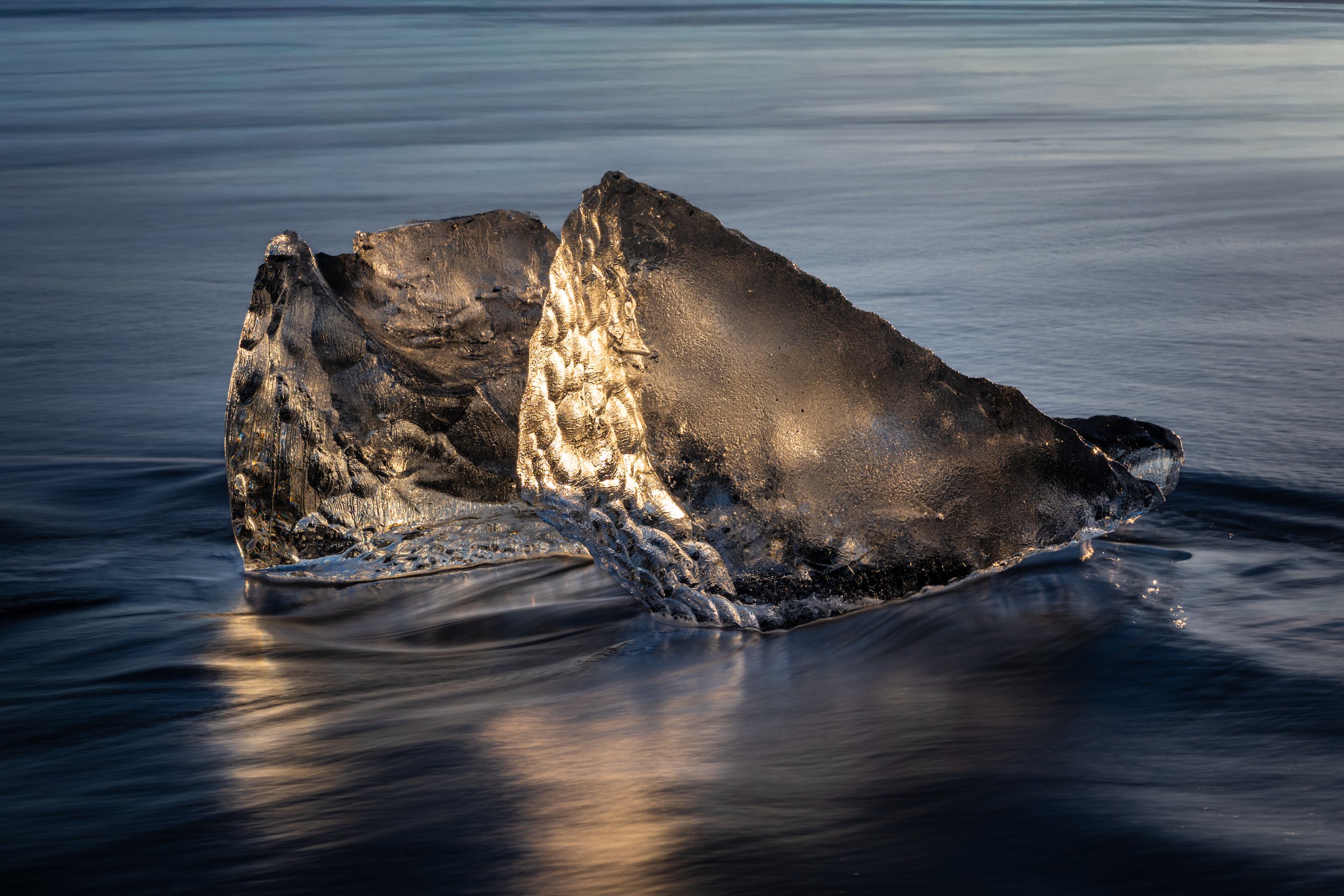 _DSC9124.jpg
