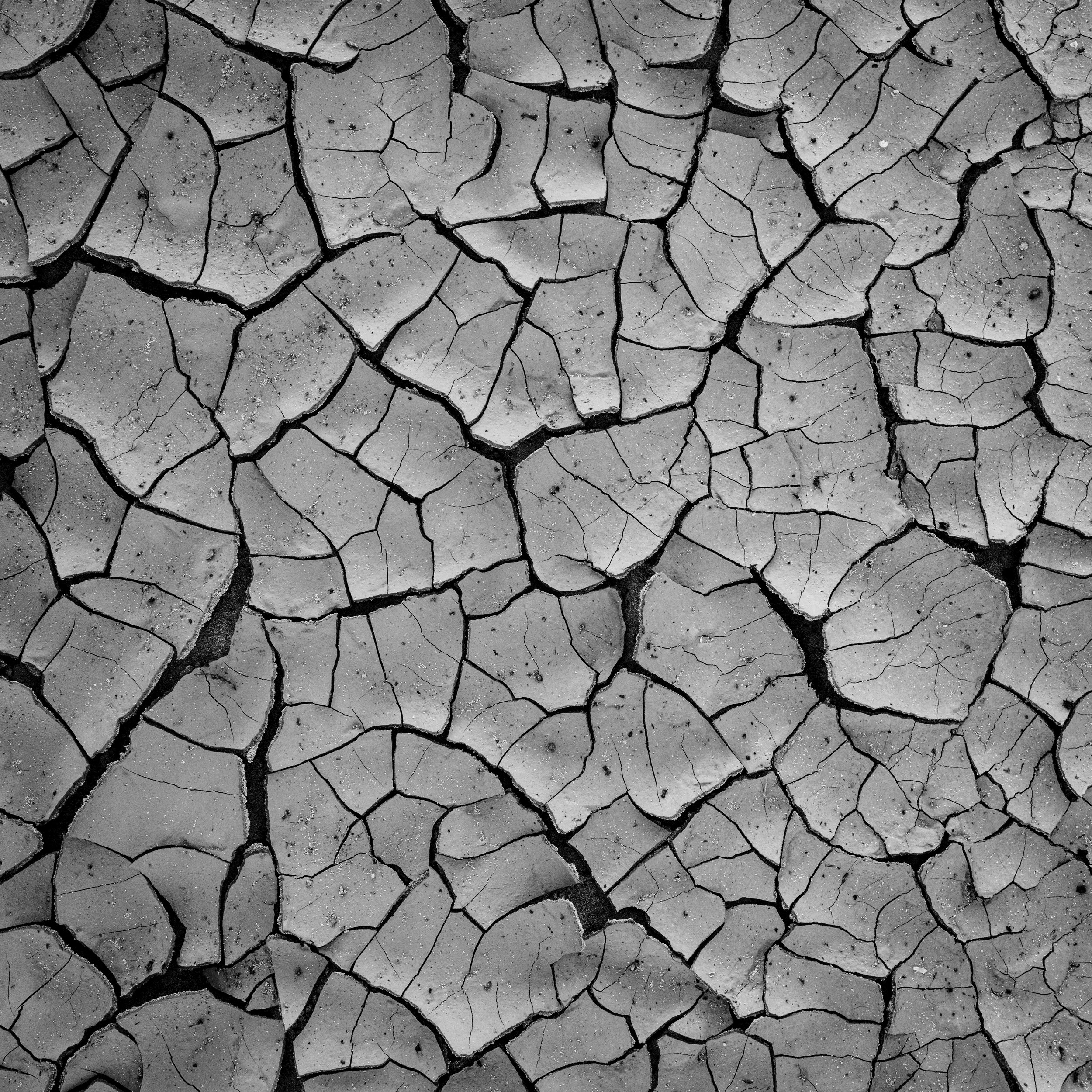 Mud Cracks | Fuerteventura