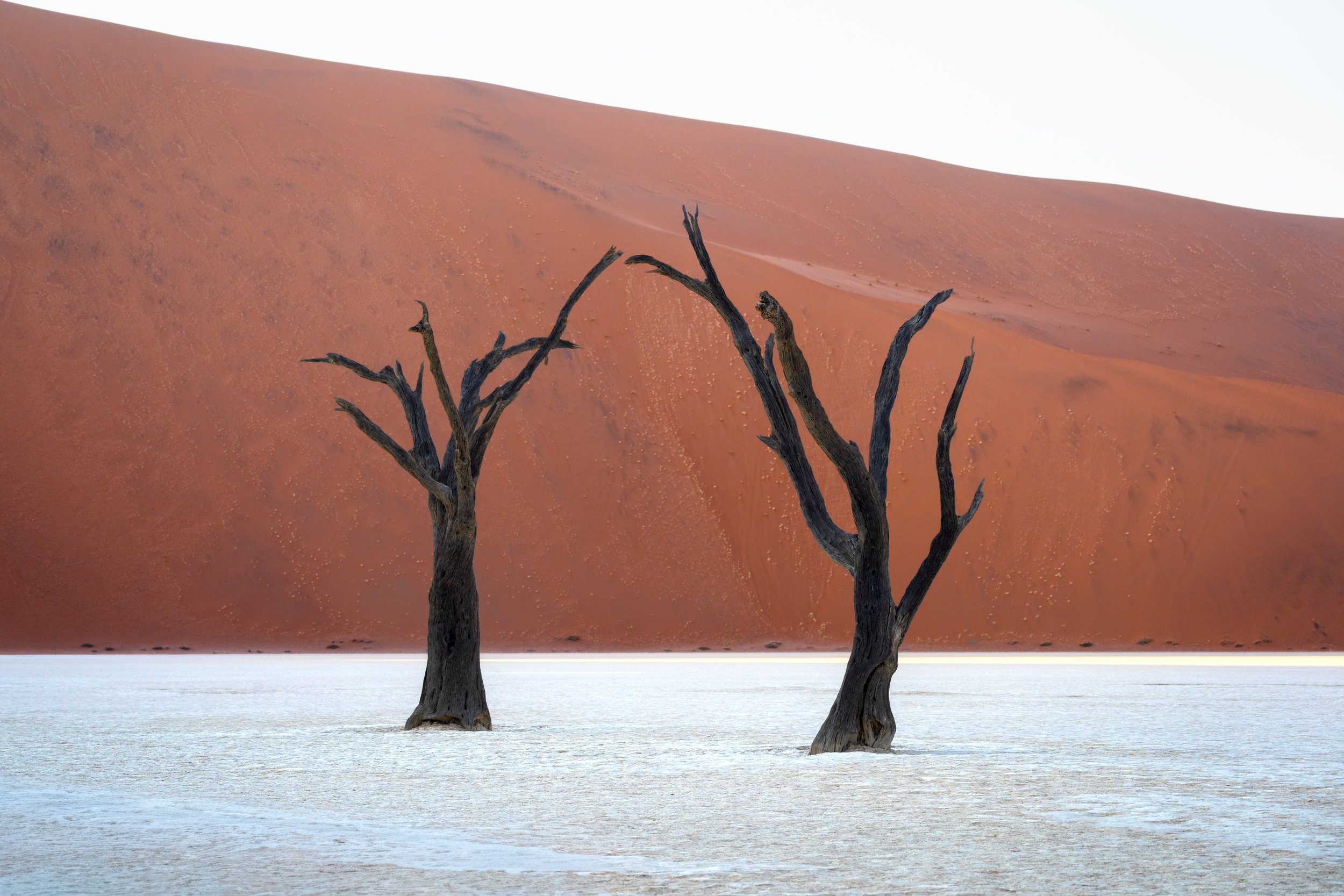 Deadvlei | Namibia