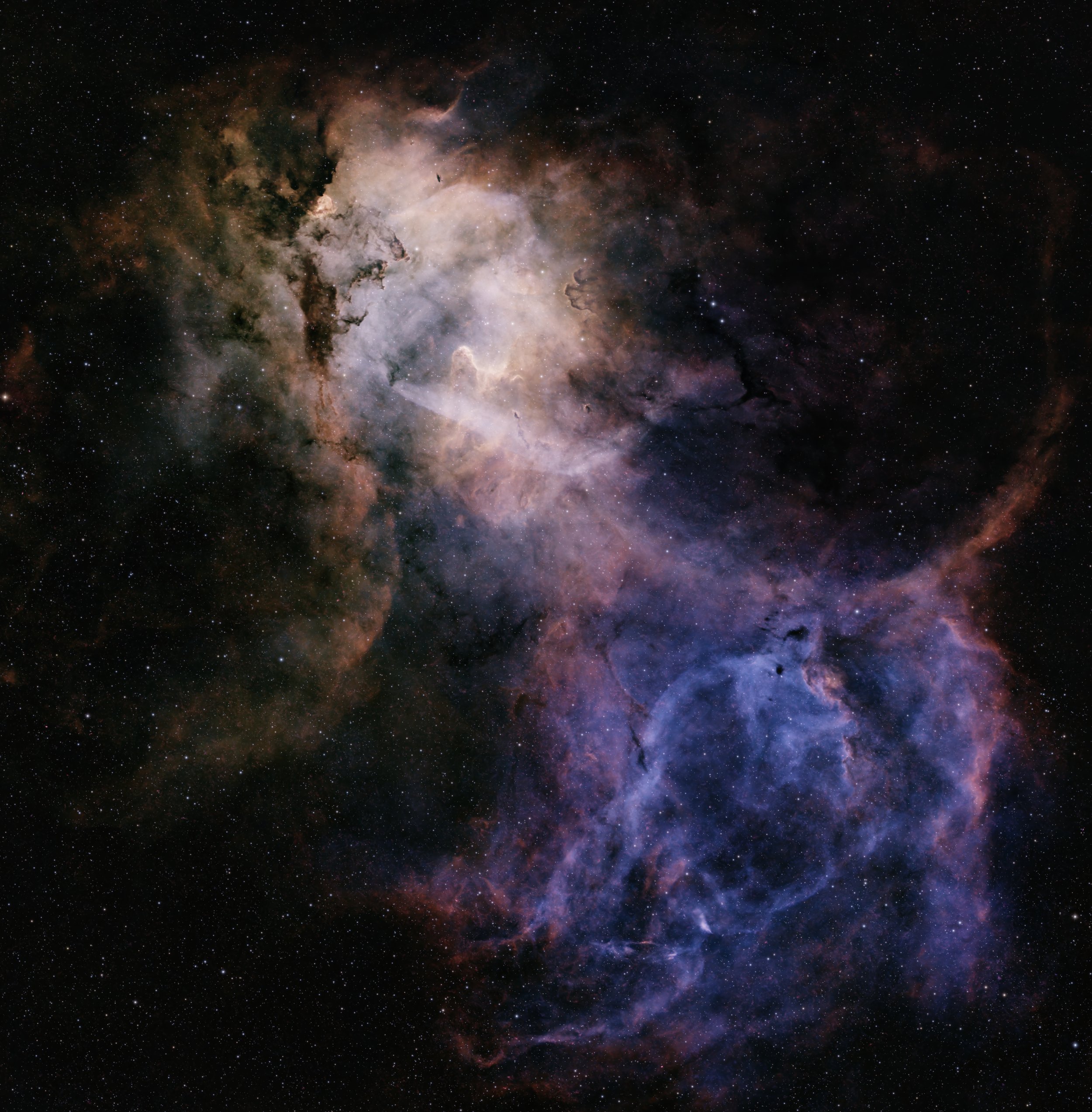 Lion_Sh2-132.jpg