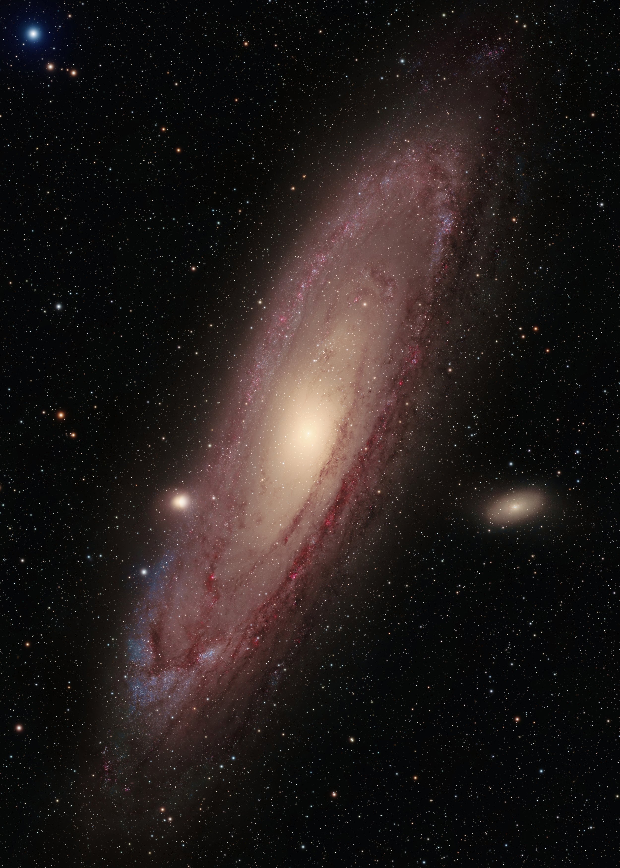 Andromeda_Cat91_web.jpg