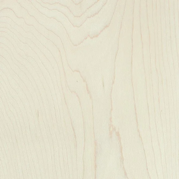 Hard Maple wood.jpg