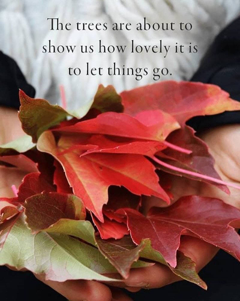 It is officially Fall! I always think of the Fall as the &ldquo;New Year&rdquo; &hellip;. I suppose that comes from my years as a student and then as a teacher. I find myself feeling a renewed sense of energy and tend to get intentional about my goal