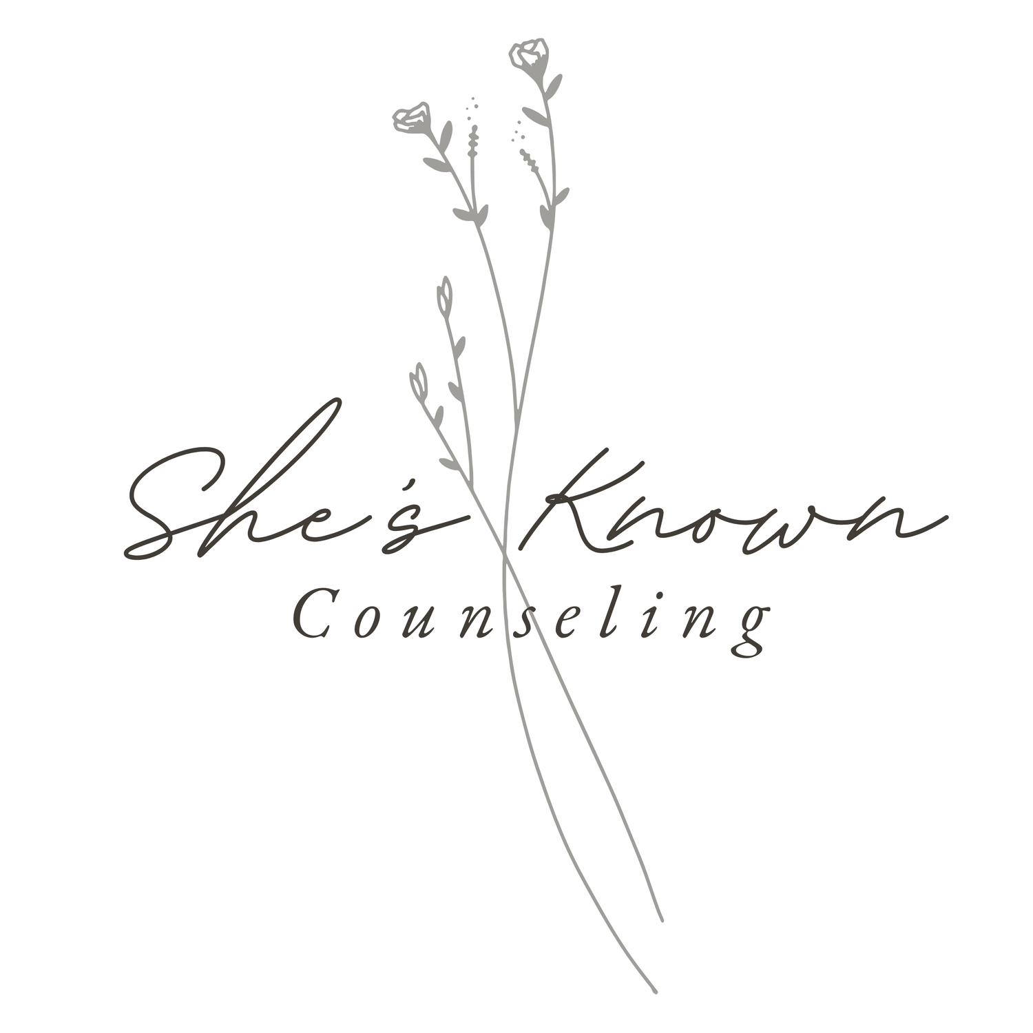 She's Known Professional Counseling