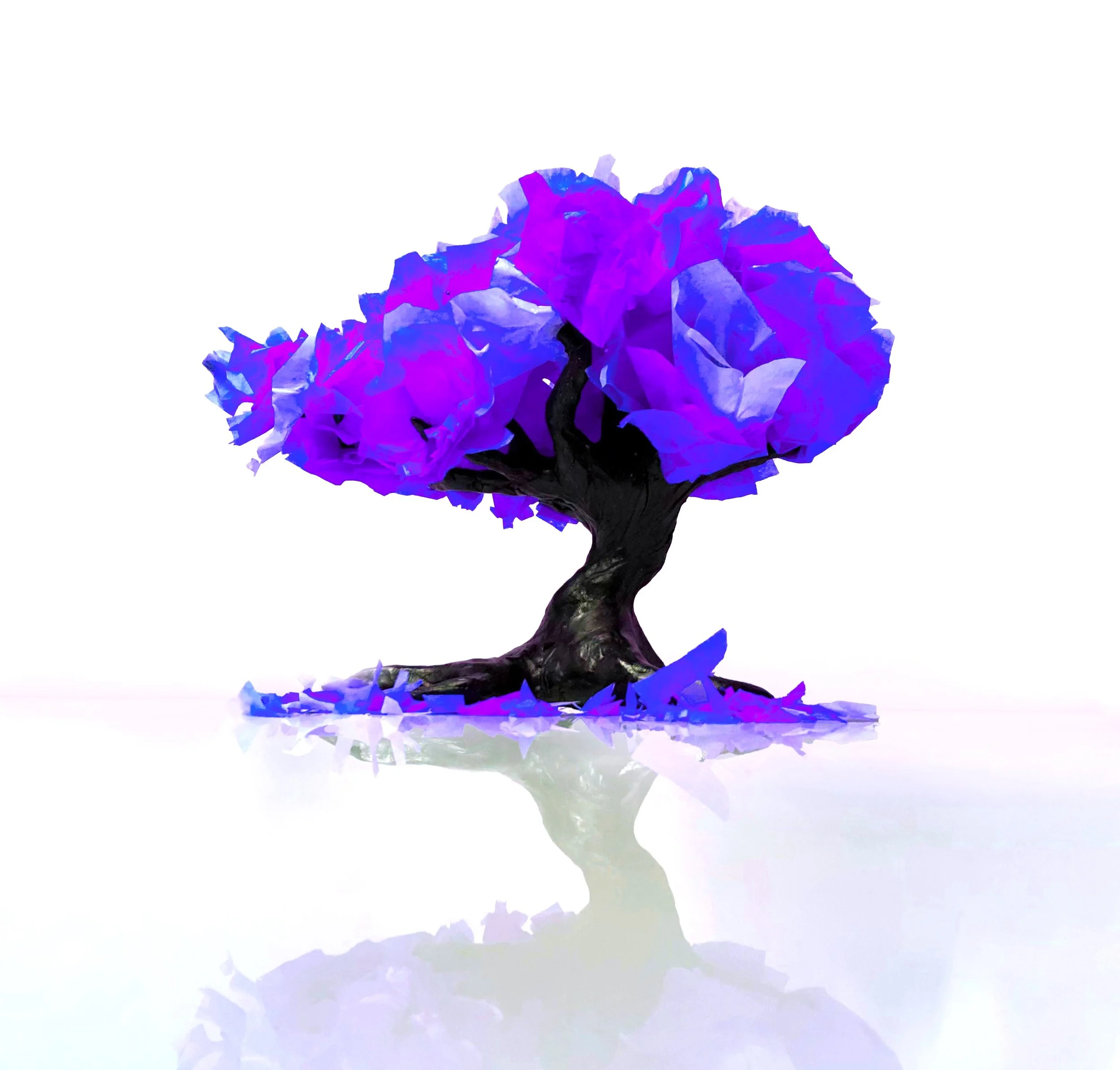 tree.jpg