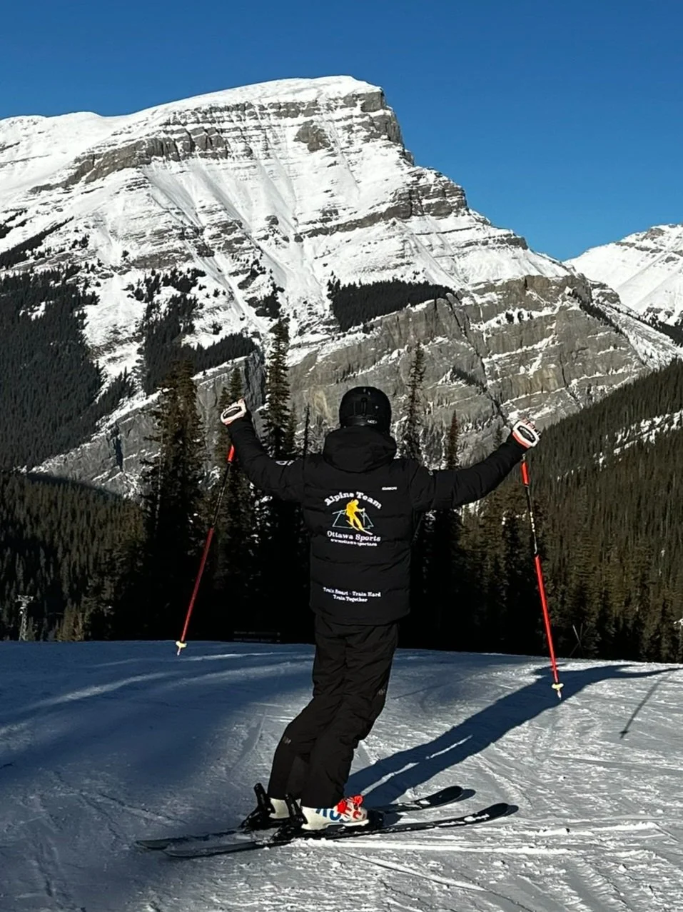 Person skiing on snow with a backdrop of snow-covered mountains and dark green pine forest under a clear blue sky.