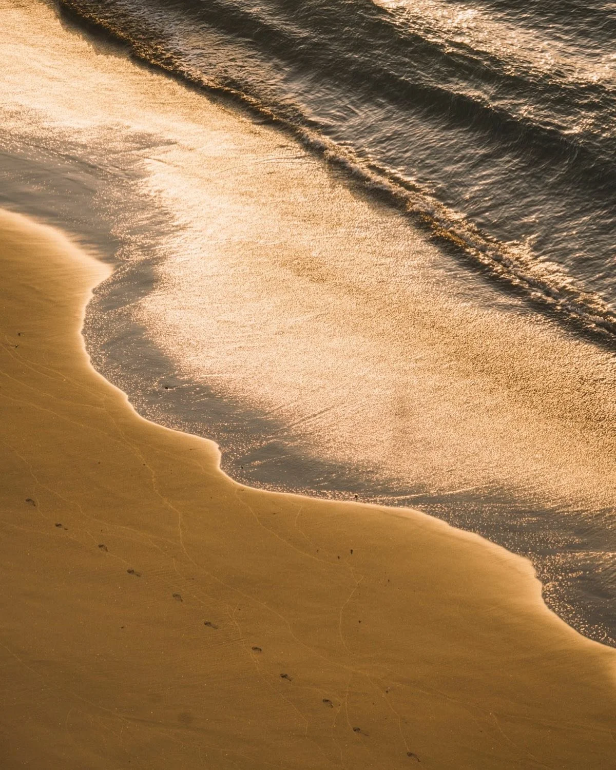 Golden hour at Whangaumu Bay &mdash; just a 2-minute stroll from The Palm. Summer stays now open &mdash; link in bio.

📷: @mariedaydreams &amp; @petraleary

#UlaStays #ThePalm #TutukakaCoast