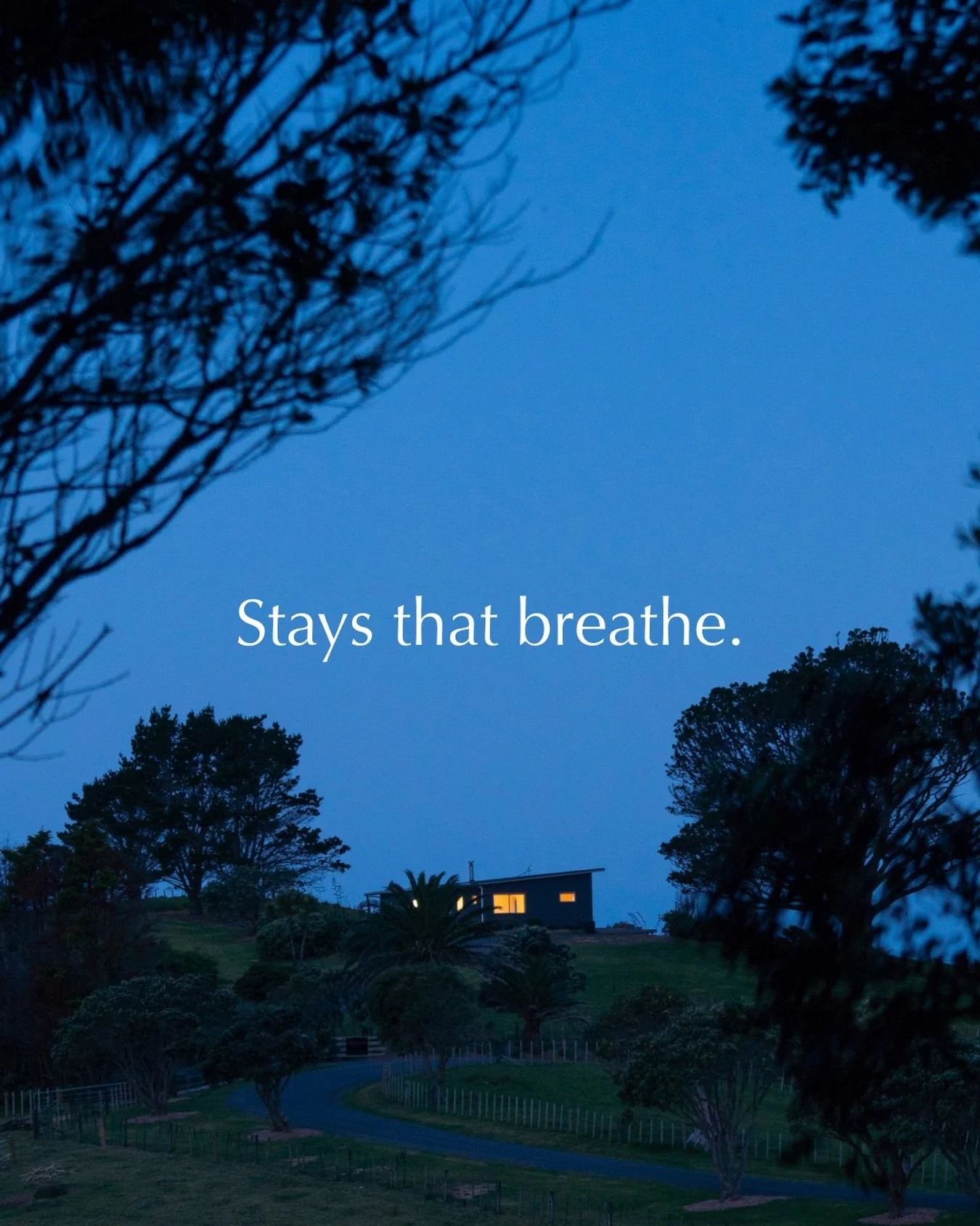Where quiet mornings, coastal air and slow living meet. The Cottage awaits.

#ulastays #newzealand #tutukakacoast