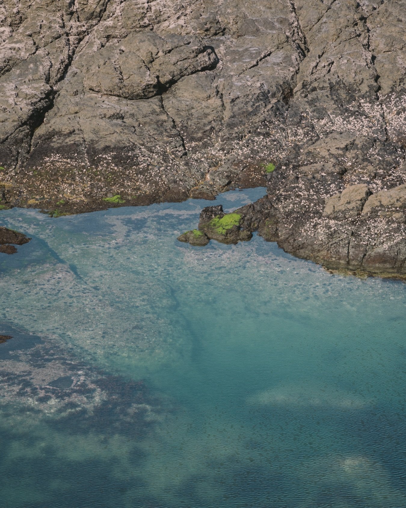Friday mood &ndash; always by the water ✨

#ulastays #tutukakacoast #newzealand #northland