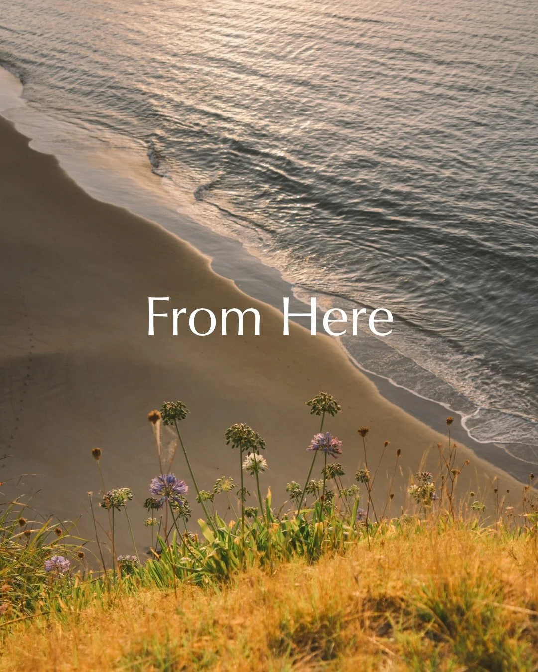 From Here &ndash; a look into the rhythms of the Tutukaka Coast &amp; the people that make it special. 

#fromhere #ulastays #tutukakacoast #northland