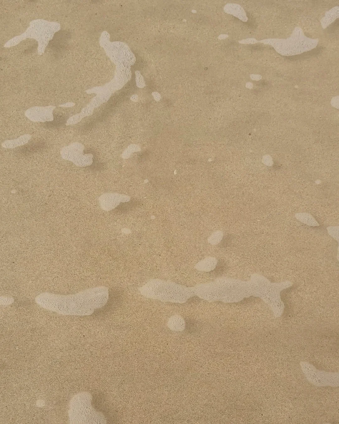 Stepping into the new year with intention, calm mornings, and spaces made to slow down. Discover our stays and book ahead for 2026.

#ulastays #tutukakacoast #stays