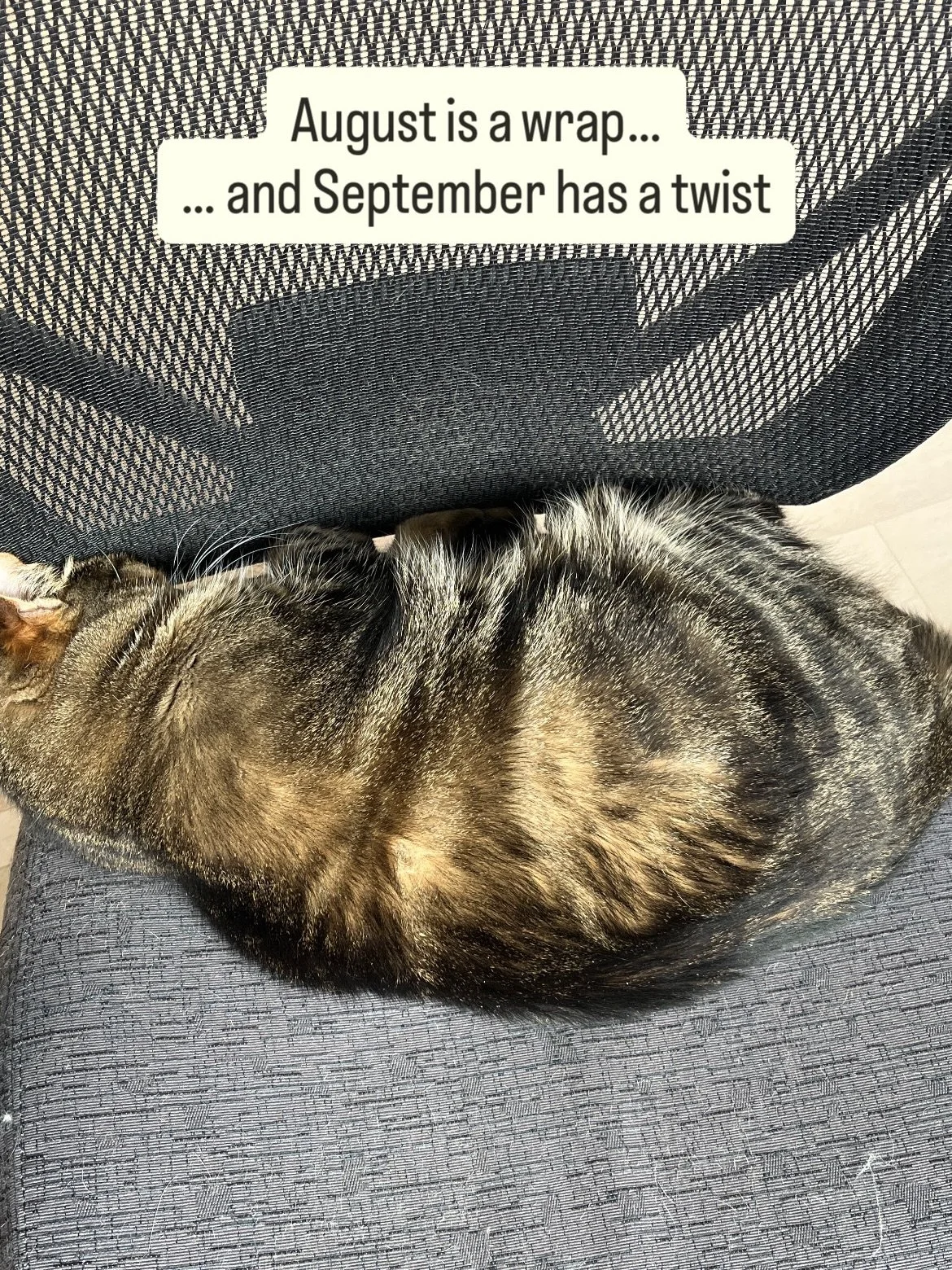 And just like that&hellip; September is here!

Studio cat is still in residence on the studio chair. I&rsquo;ve perfected the art of sitting on the very edge and my quads are like steel&hellip;

For all you digital artists out there, I have a new app