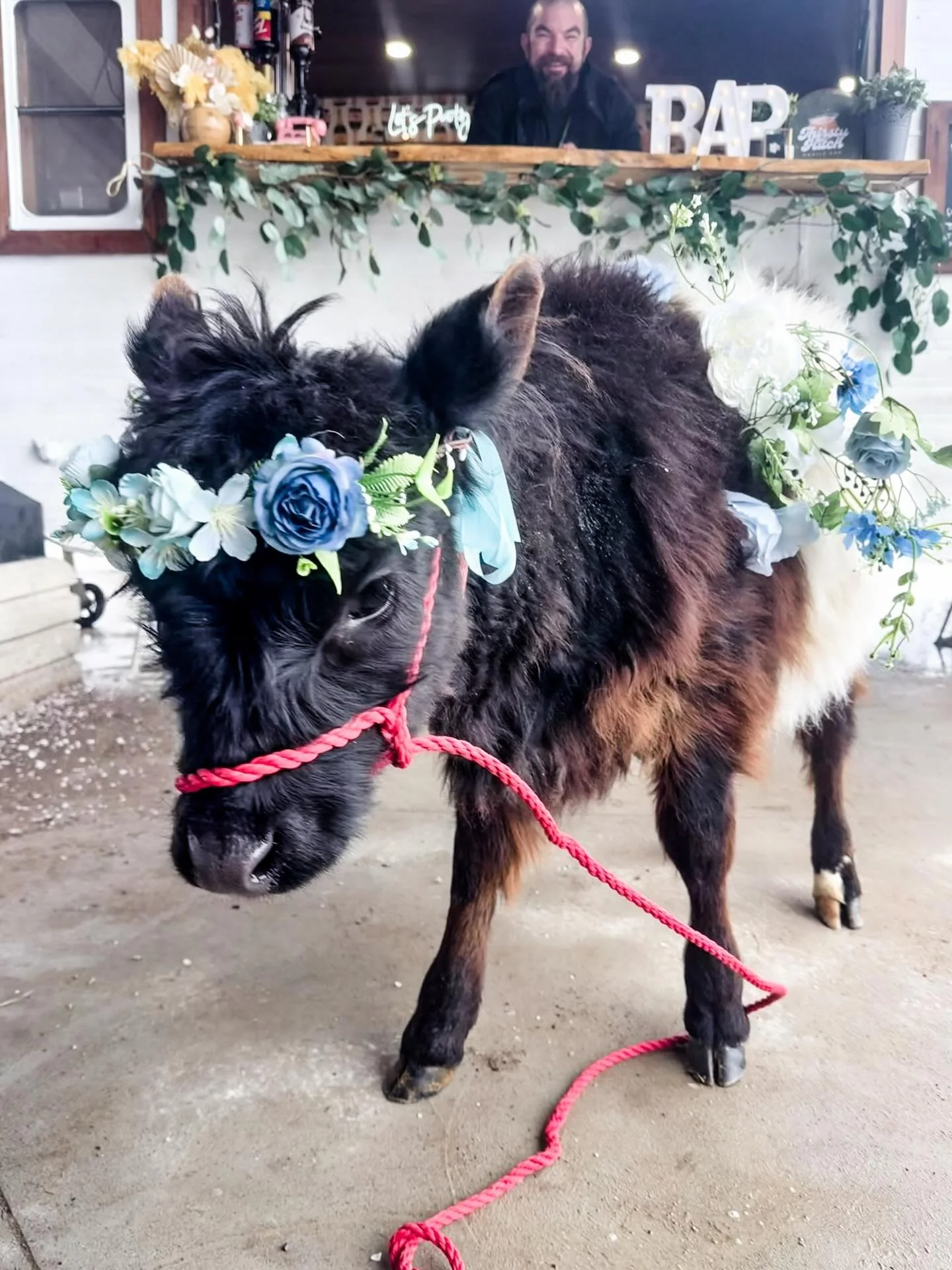 Best customers we&rsquo;ve ever had ✨