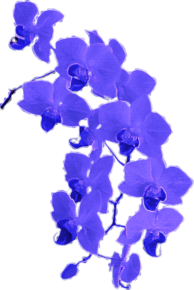 A cluster of orchids with altered, neon-like coloration in shades of purple and blue.