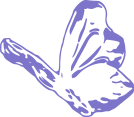 A purple butterfly