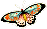Colorful butterfly with black, orange, blue, and white wings
