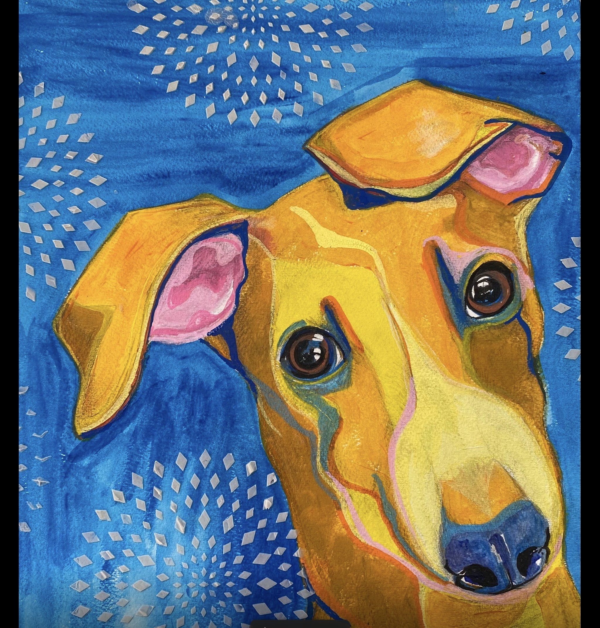 12/19 paint your pet
