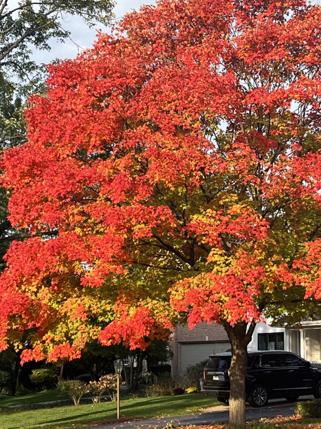 October for the Soul