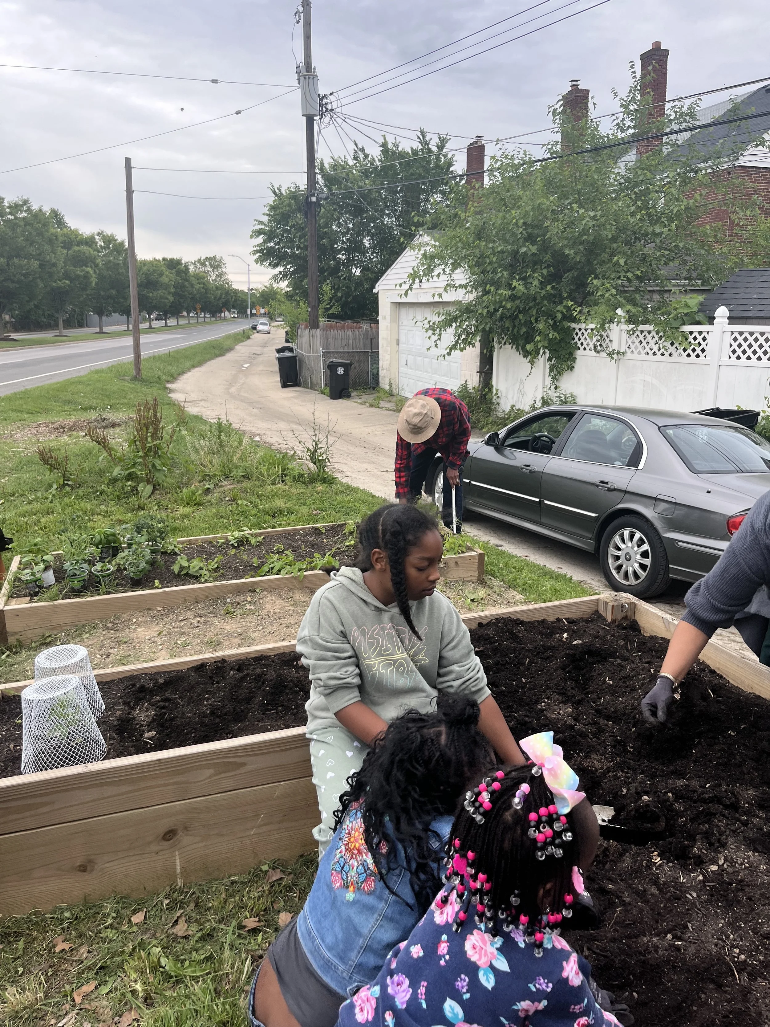 Garden Photo 2 - Arkia Wade.jpg