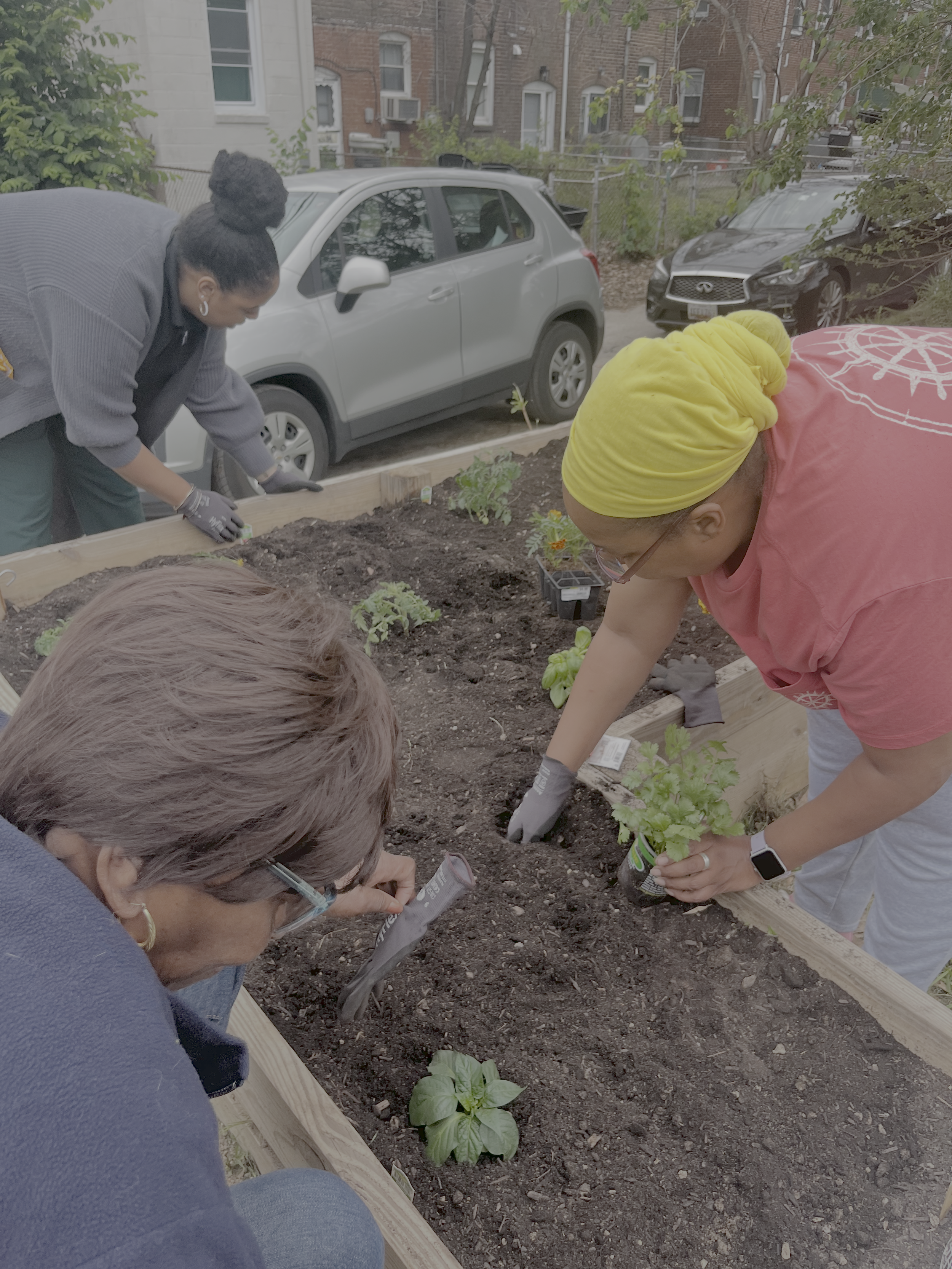 IMG_2758 - Arkia Wade.png