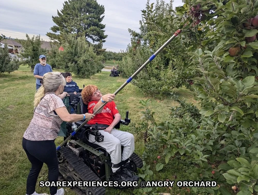 angry orchard soar - Suze Trager.jpg