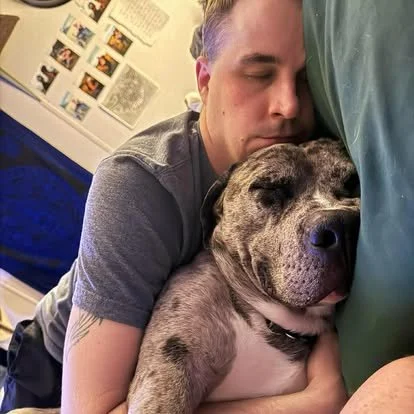 foster 2 - Lisa Allison.jpg