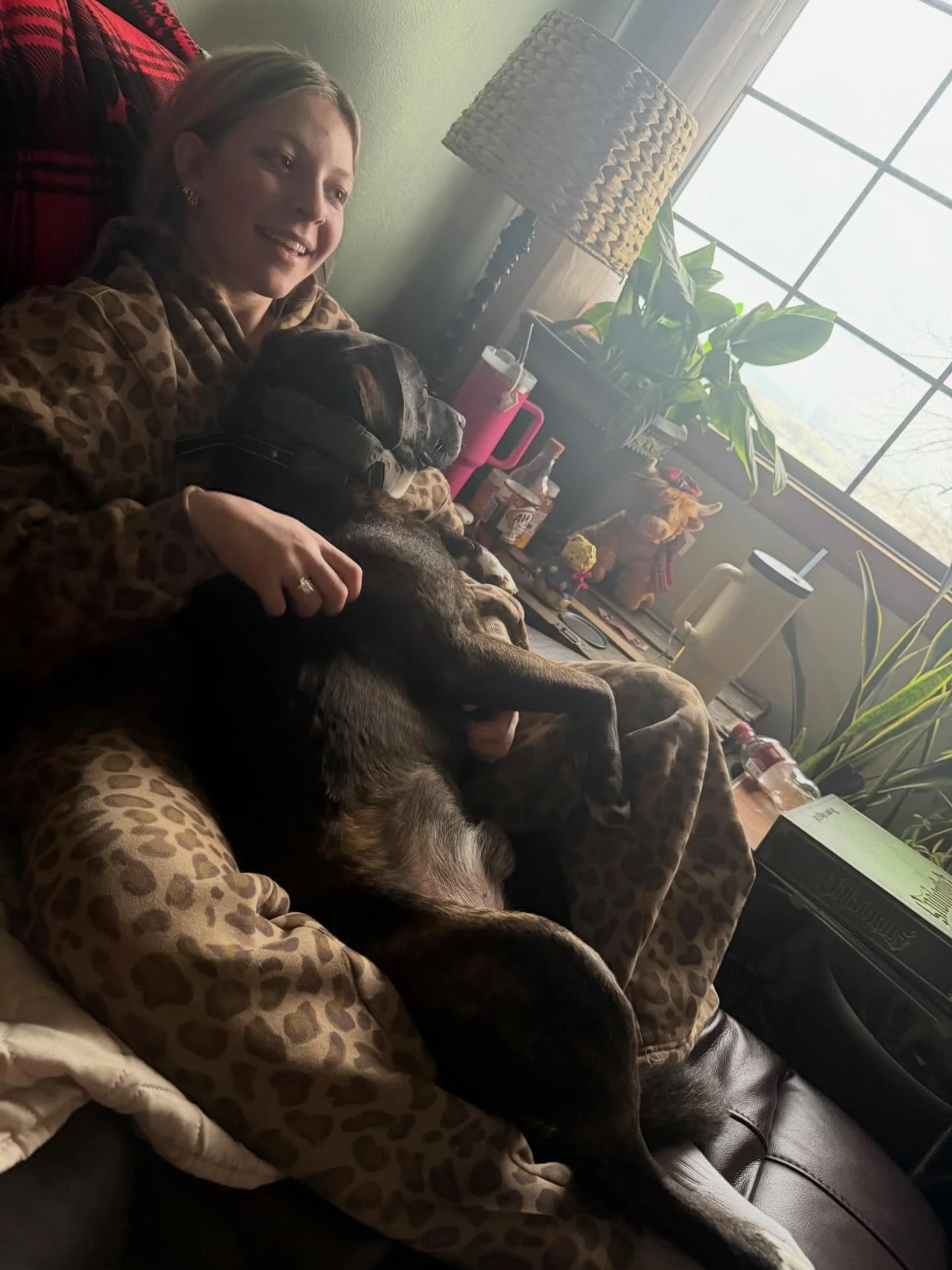 foster program - Lisa Allison.jpg