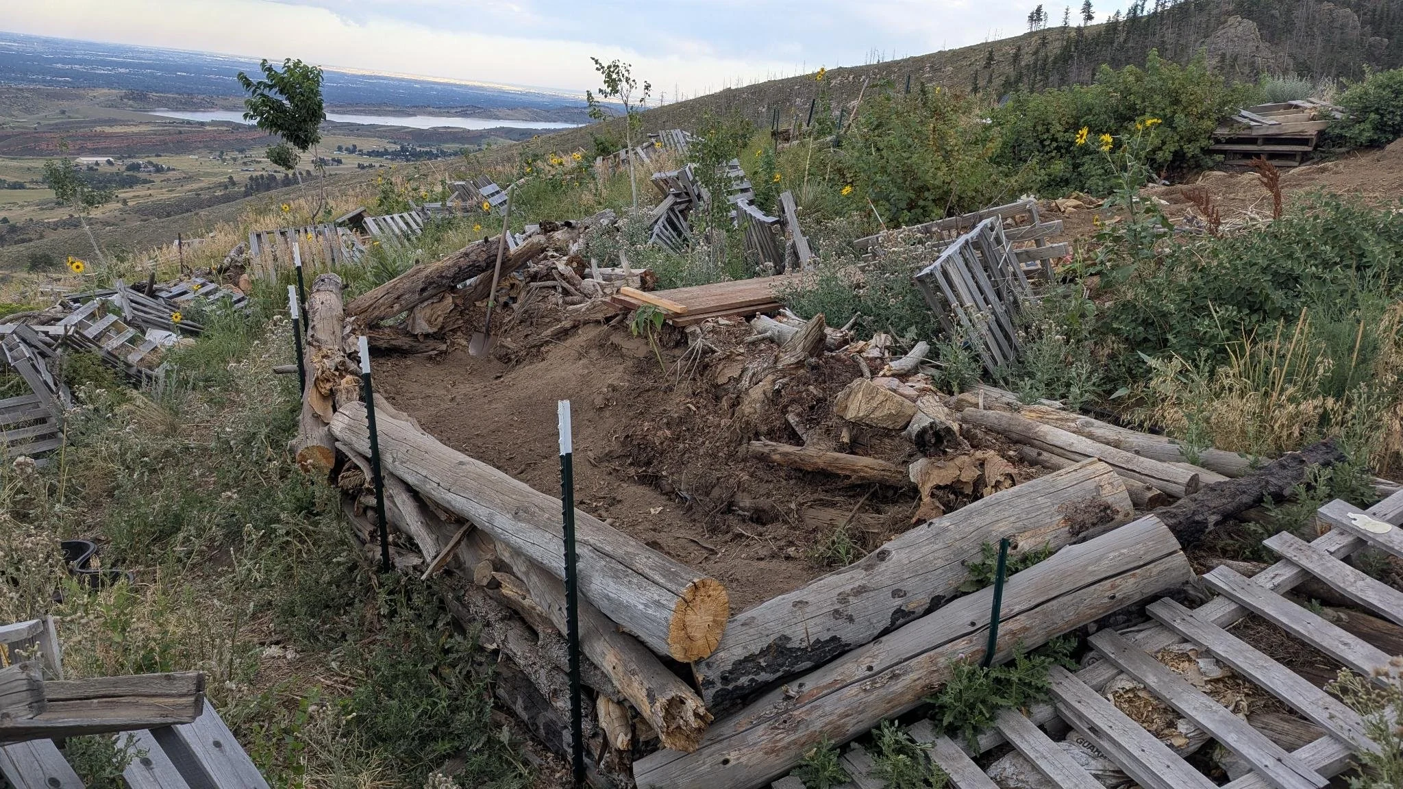 large-raised-bed - Rachel Fish.jpeg